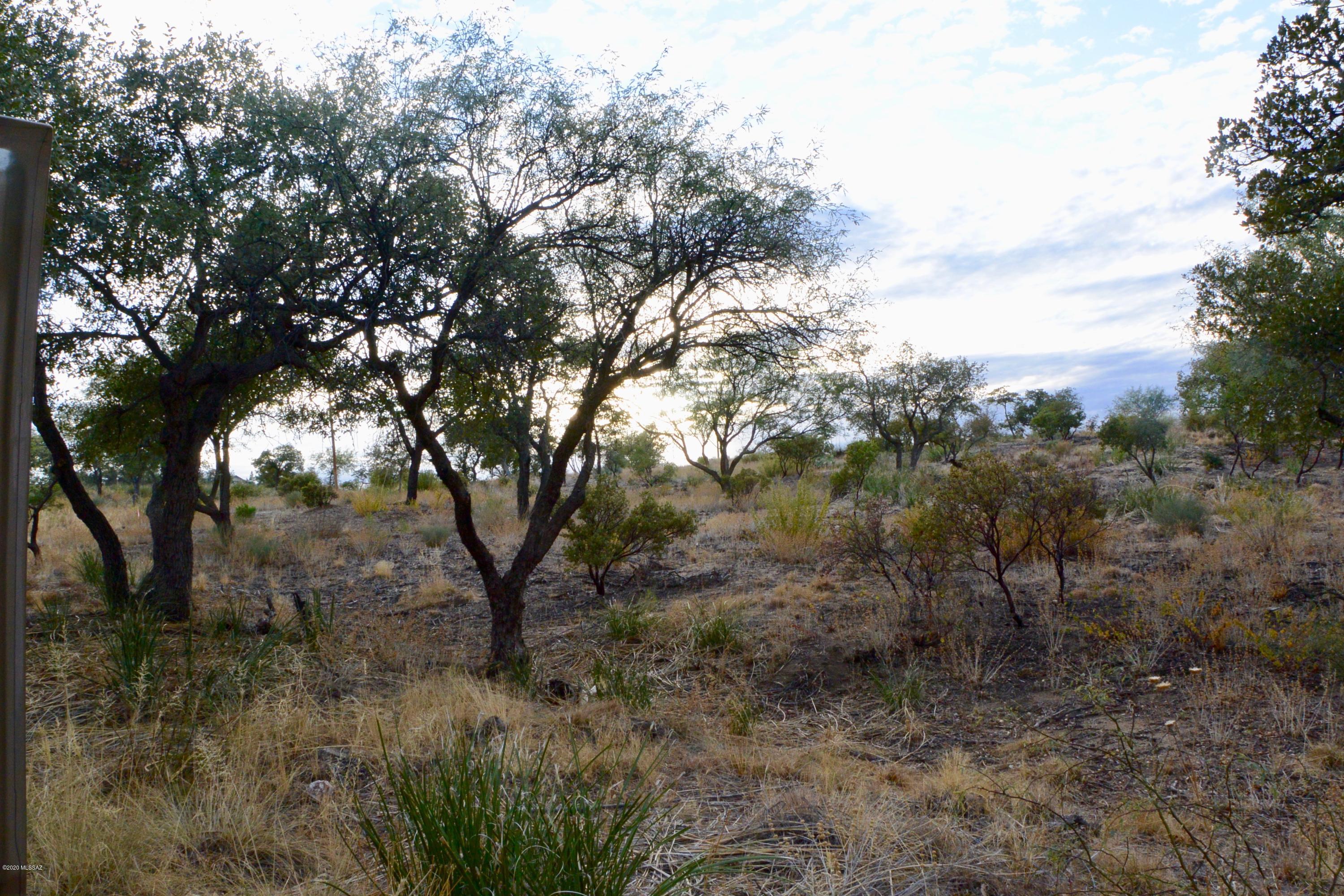 TBD N Viento Drive Unit: Lot #3