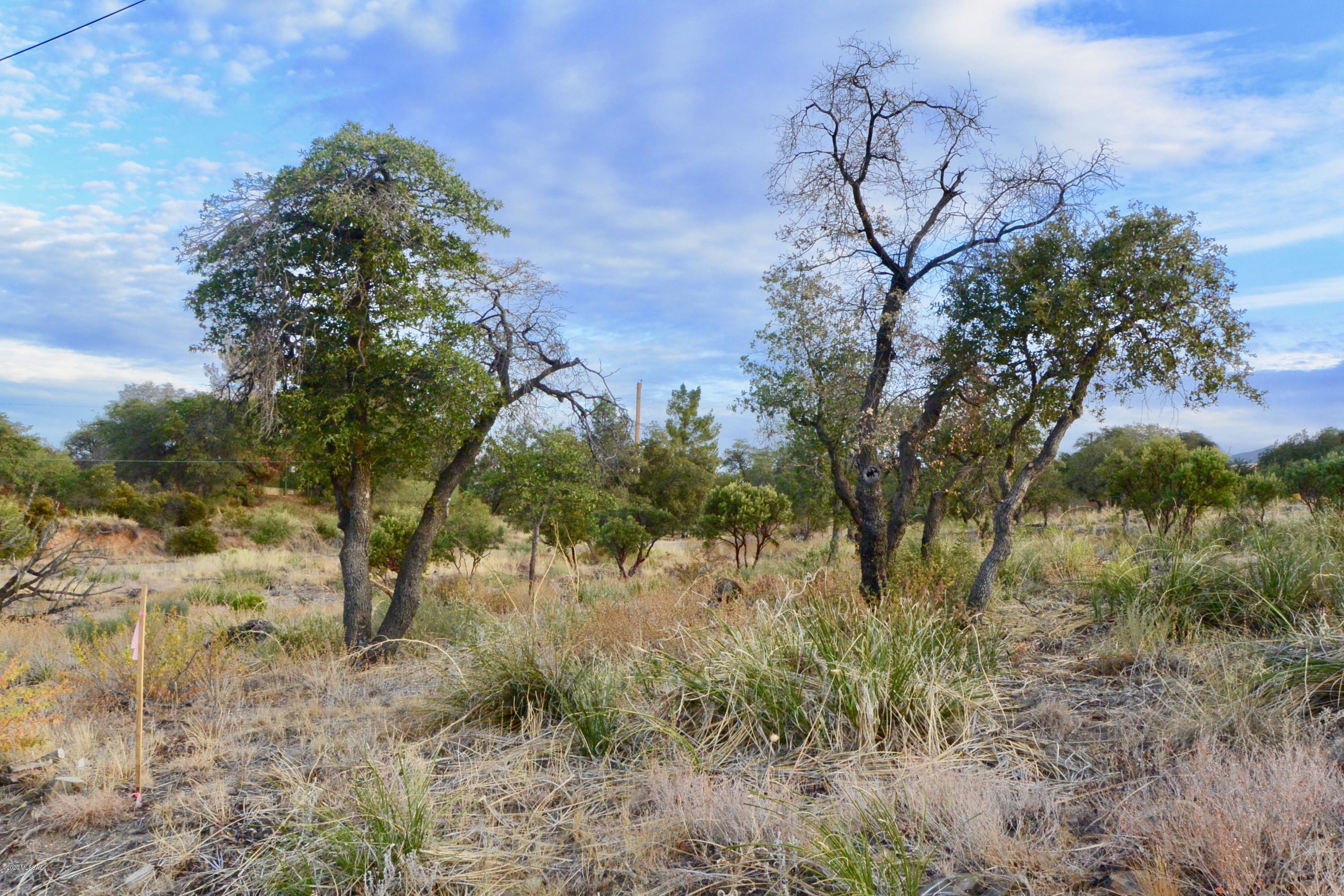 TBD N Viento Drive Unit: Lot #3