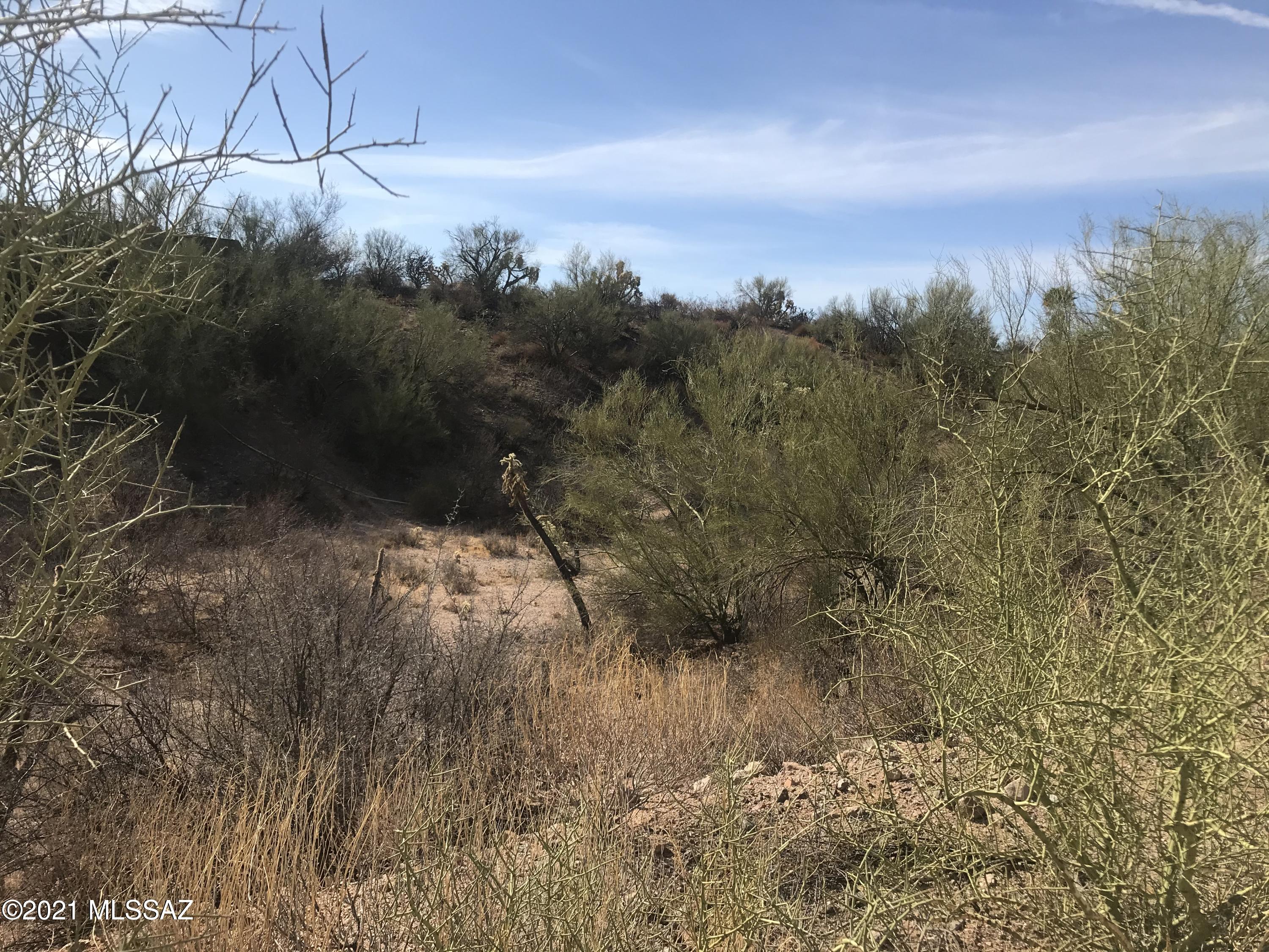 86479 E Barrows Place Unit: 4.24 Ac