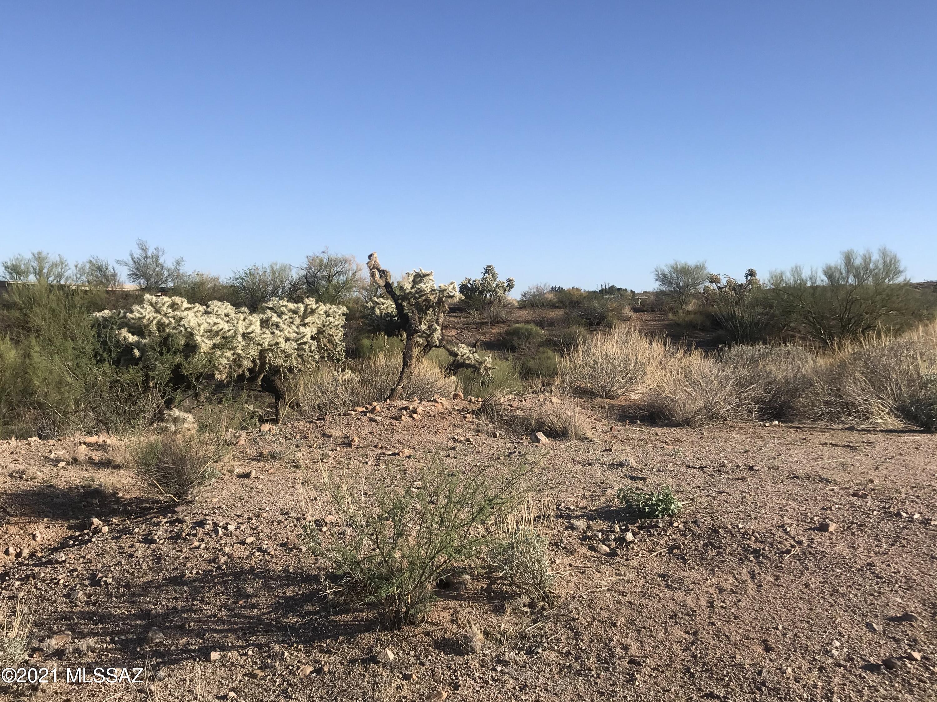 86479 E Barrows Place Unit: 4.24 Ac