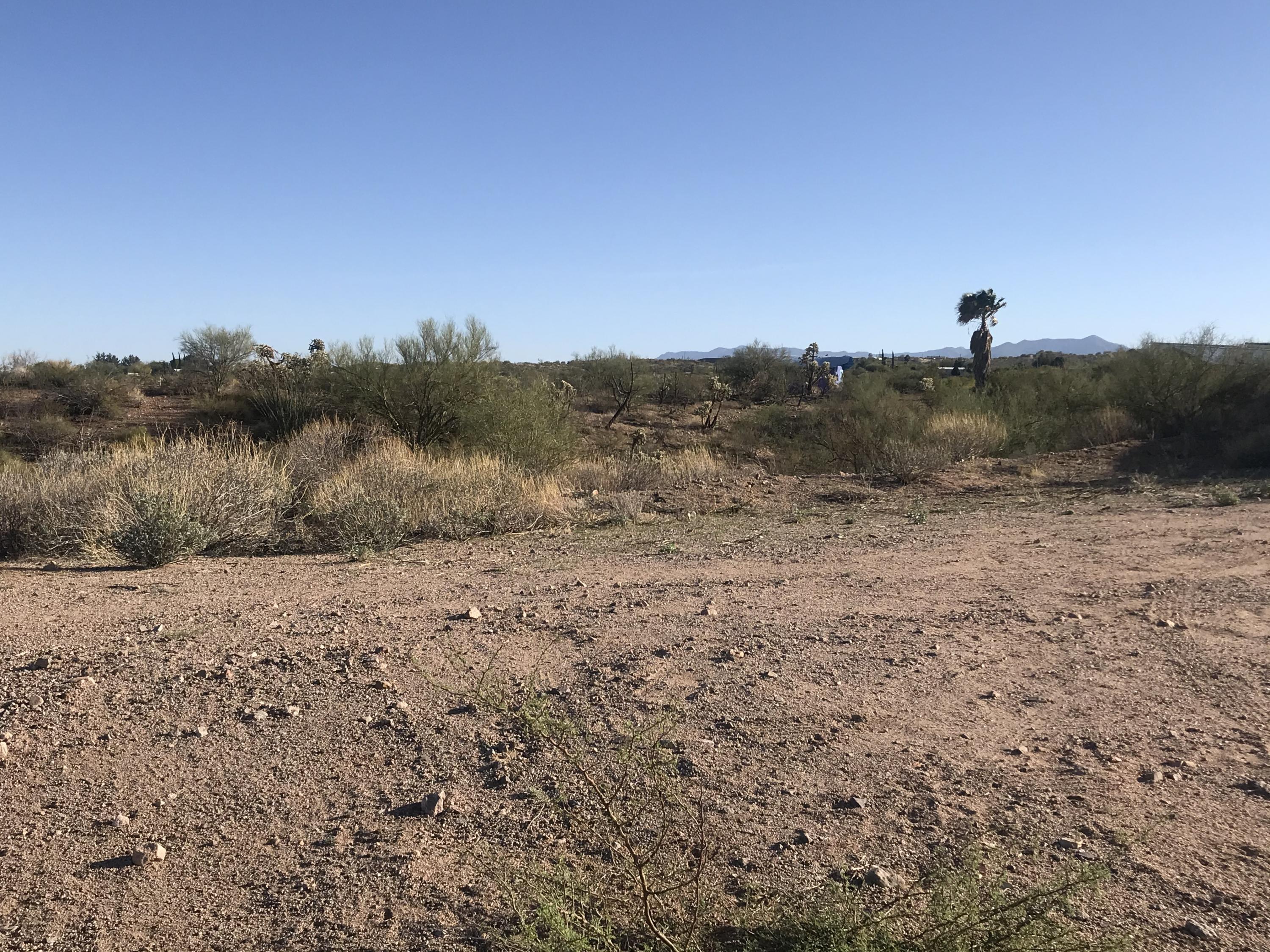 86479 E Barrows Place Unit: 4.24 Ac