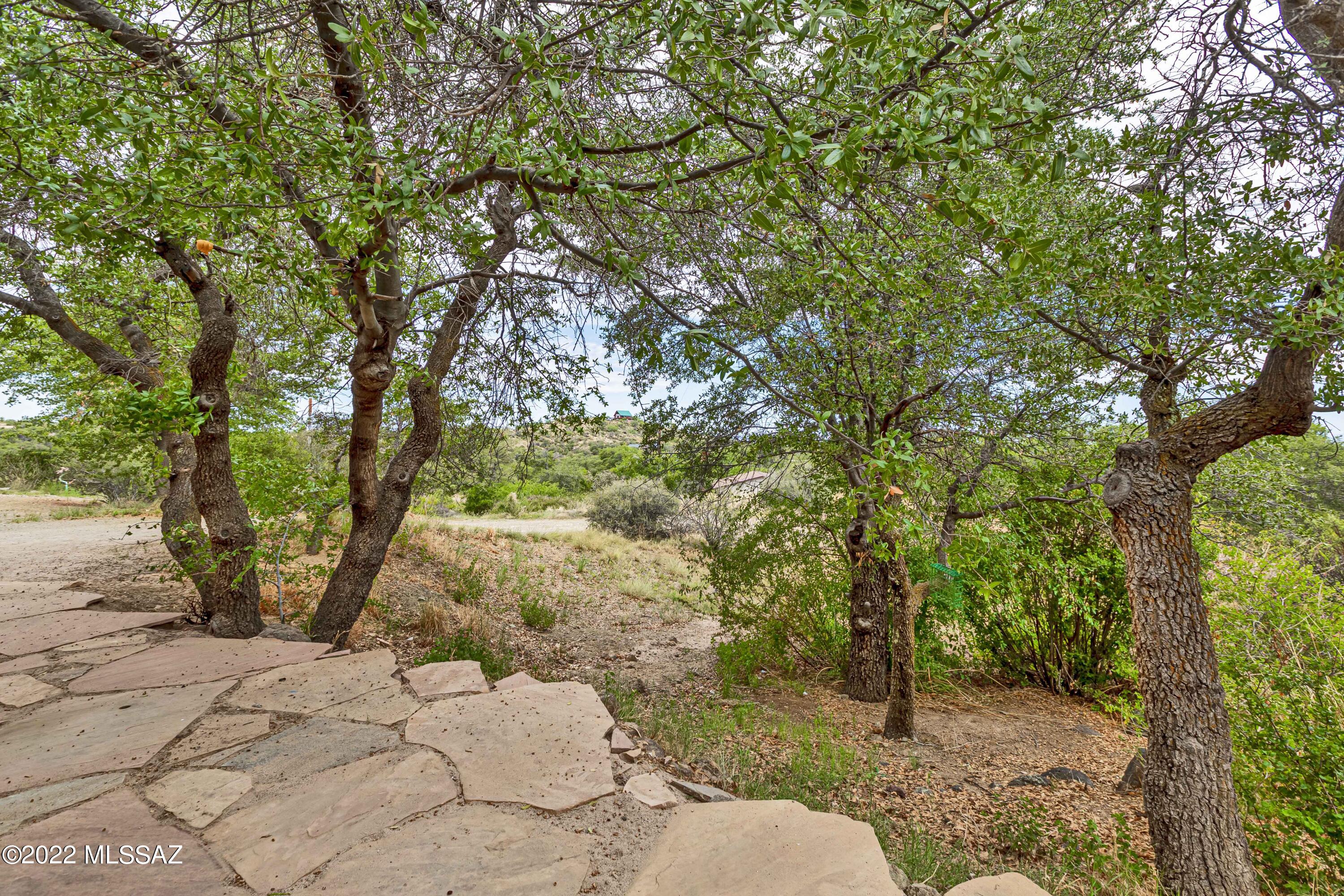 149 N Cedar Ridge Drive