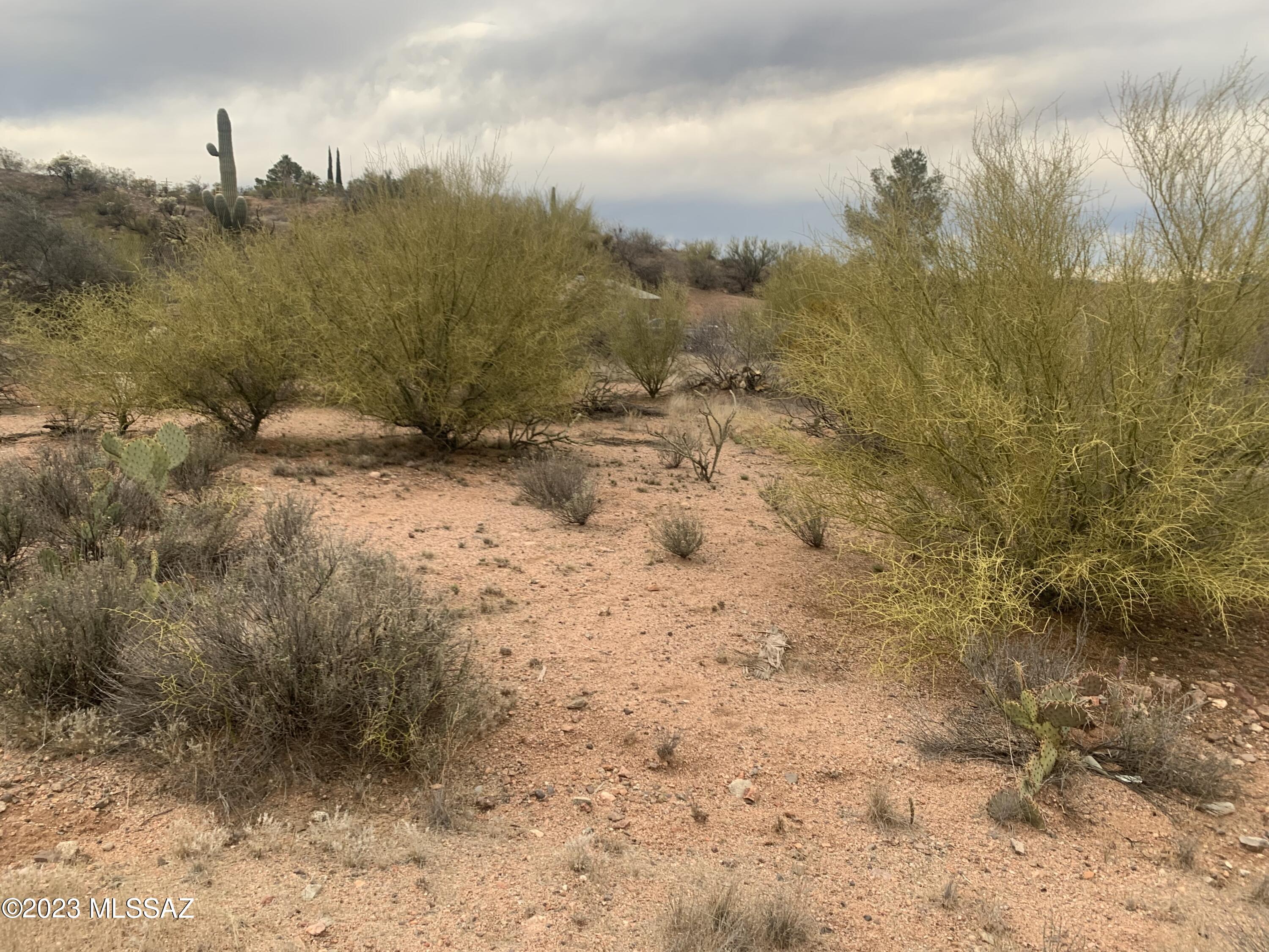 TBD W Galiuro St Unit: 0.79 Ac