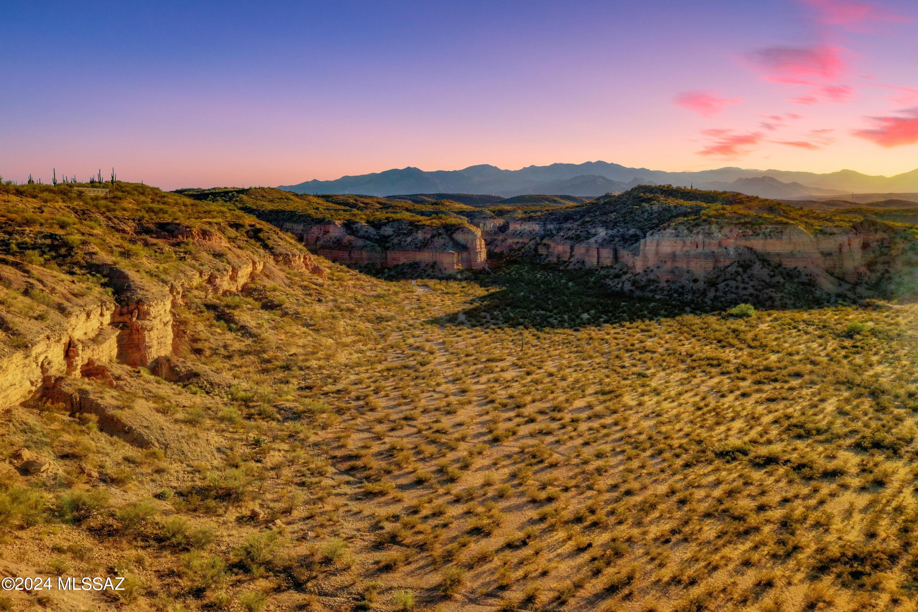 13725 N San Pedro River Road Unit: 1