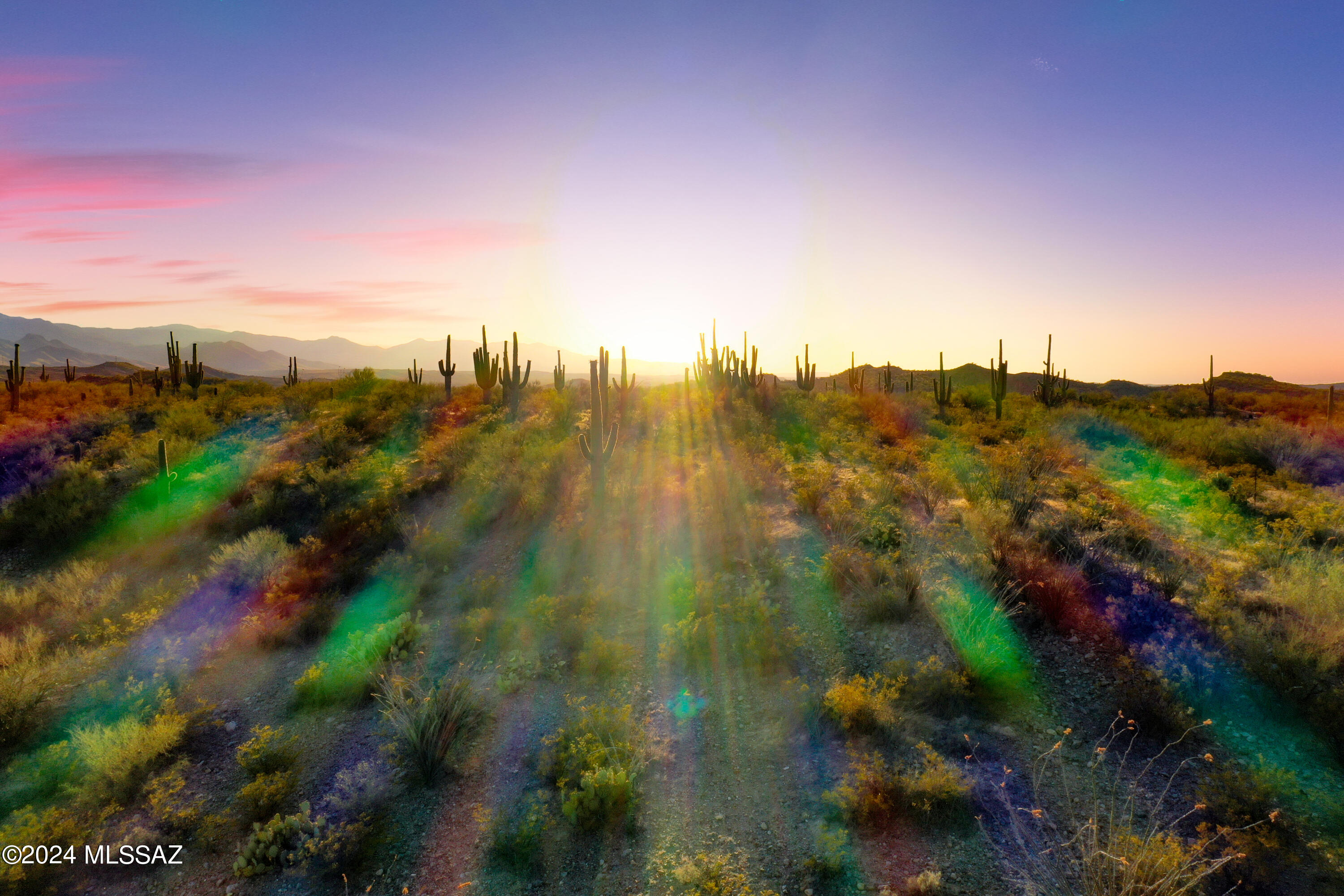 13725 N San Pedro River Road Unit: 1