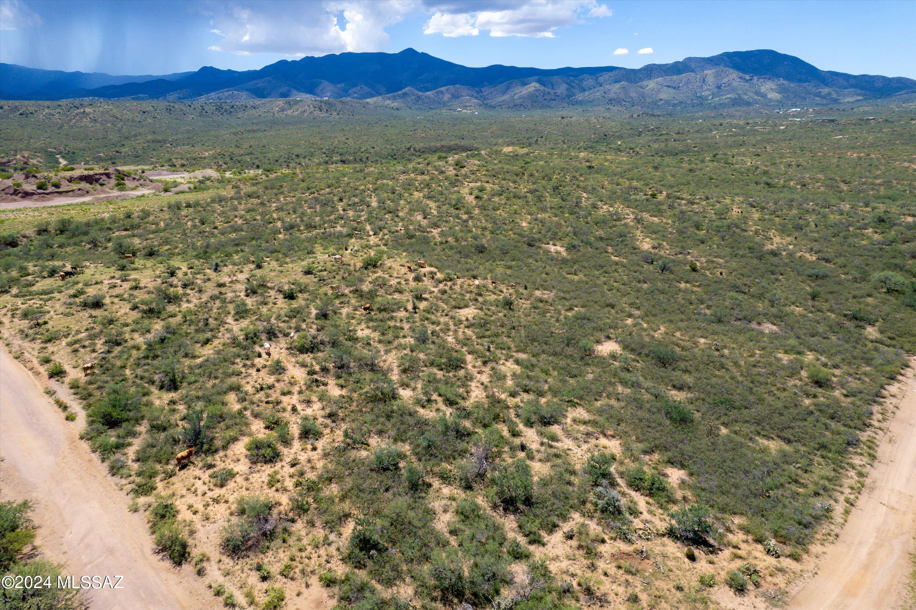 10 Acres off Vanessa Way Drive
