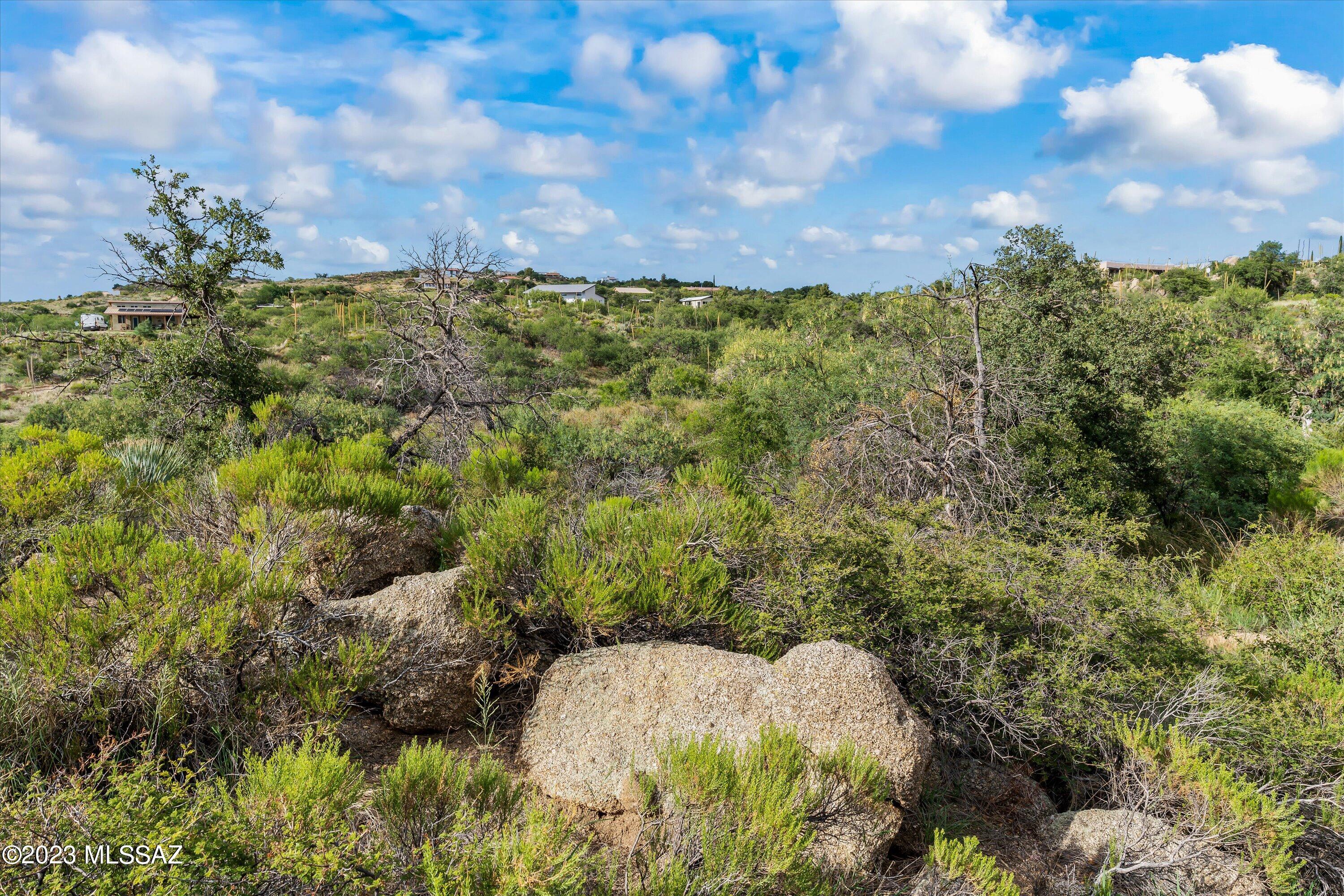 3.81 Acres Bachman Wash Road