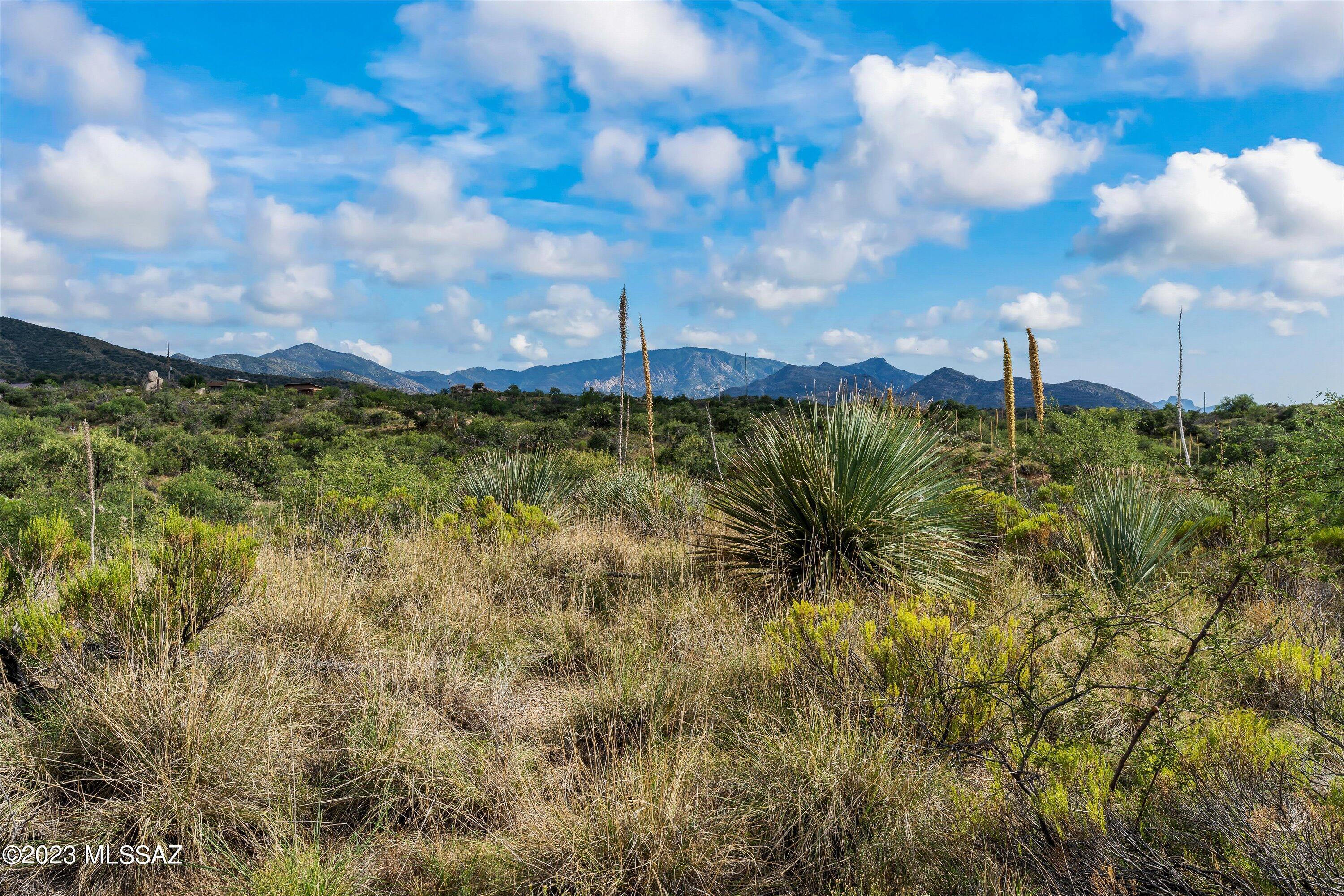 3.81 Acres Bachman Wash Road