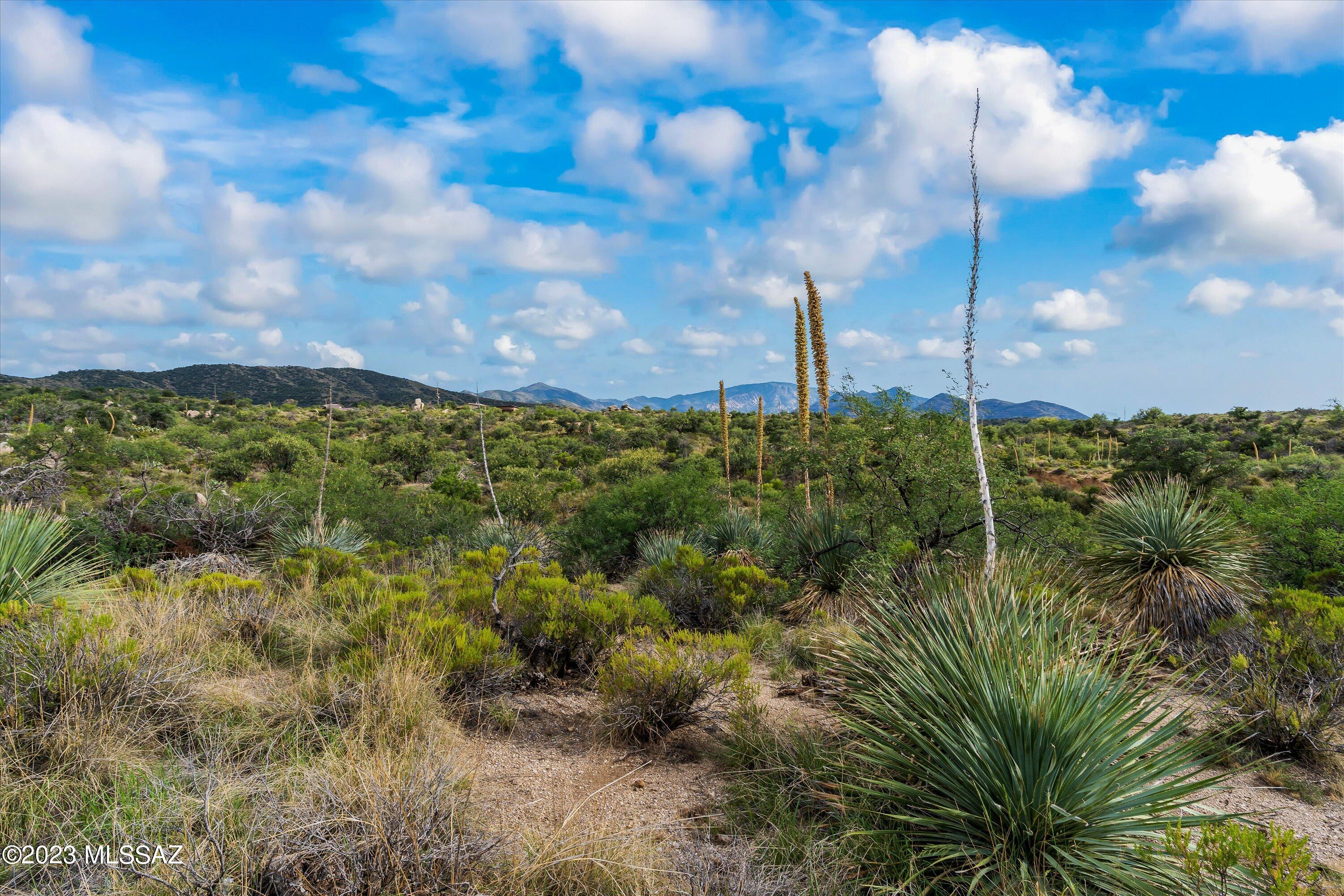 3.81 Acres Bachman Wash Road