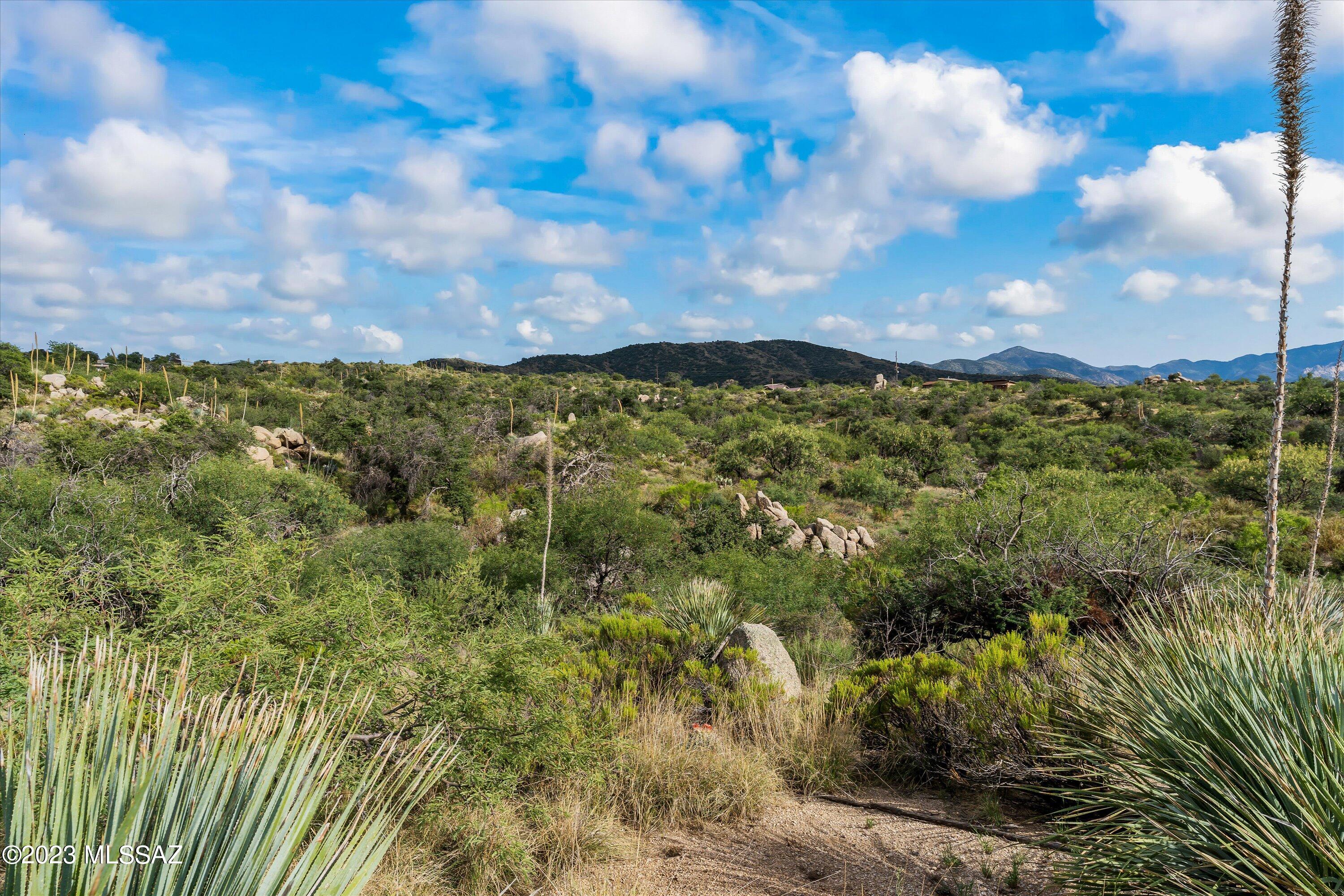 3.81 Acres Bachman Wash Road