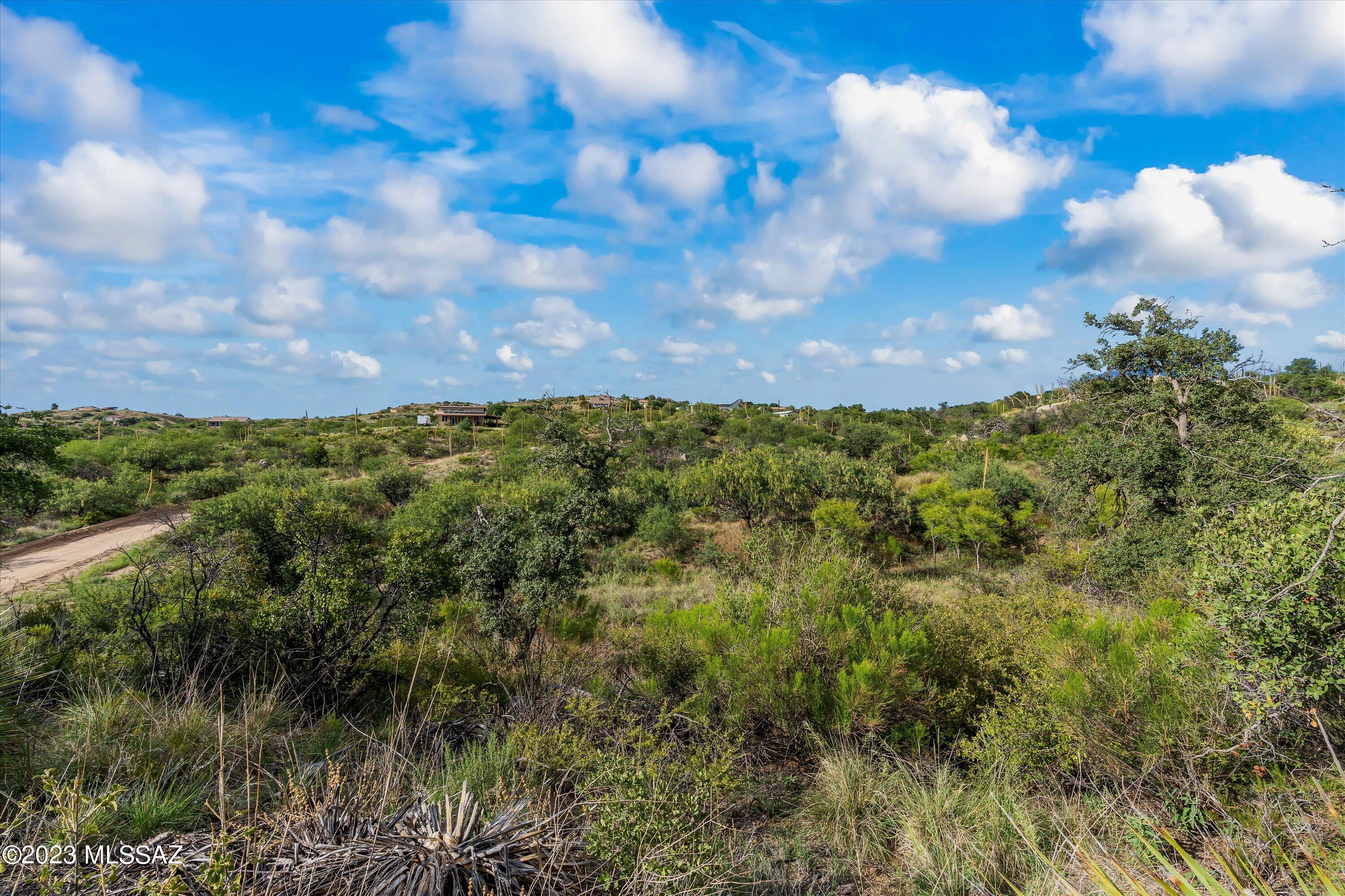 3.81 Acres Bachman Wash Road