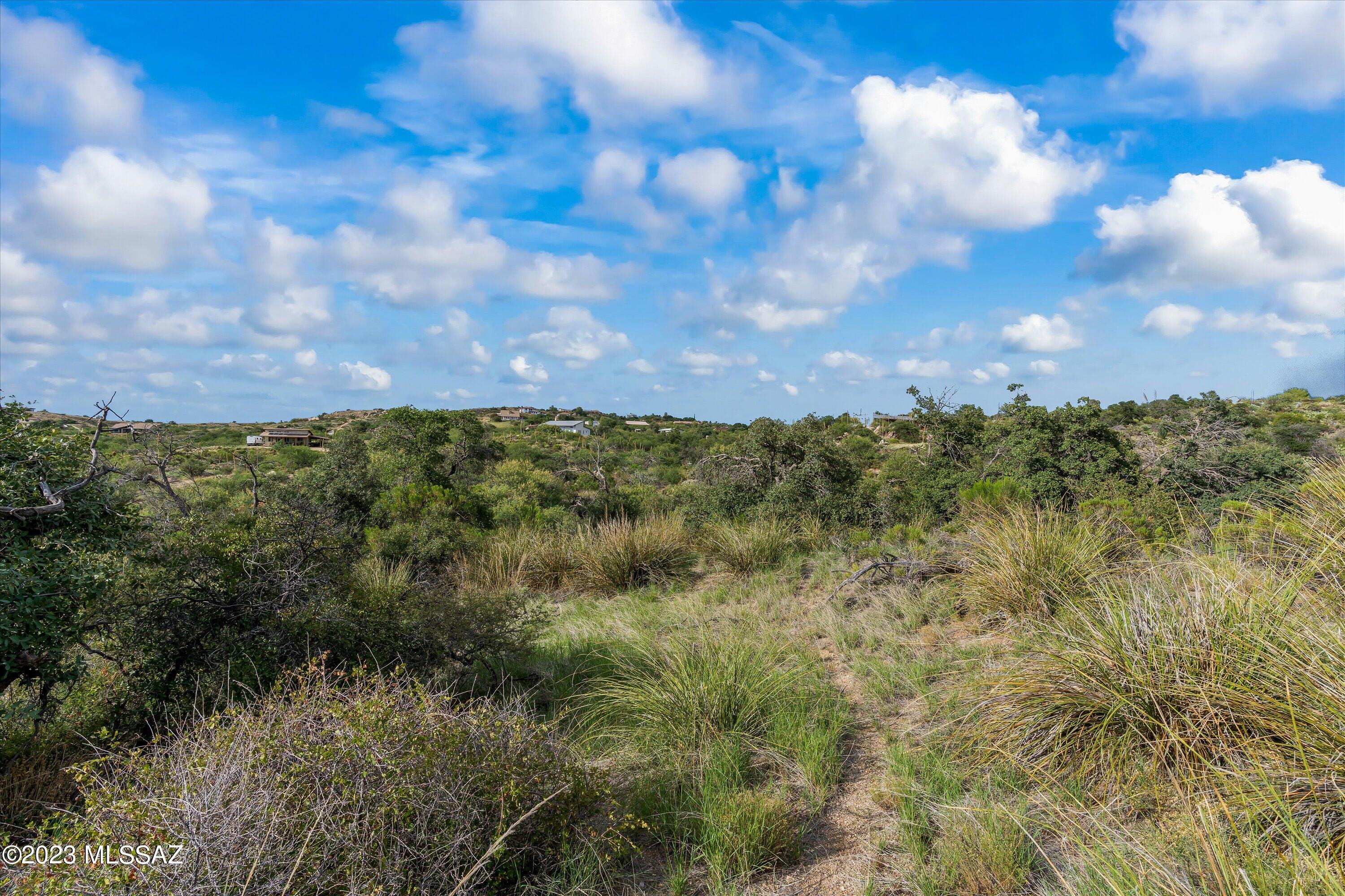 3.81 Acres Bachman Wash Road