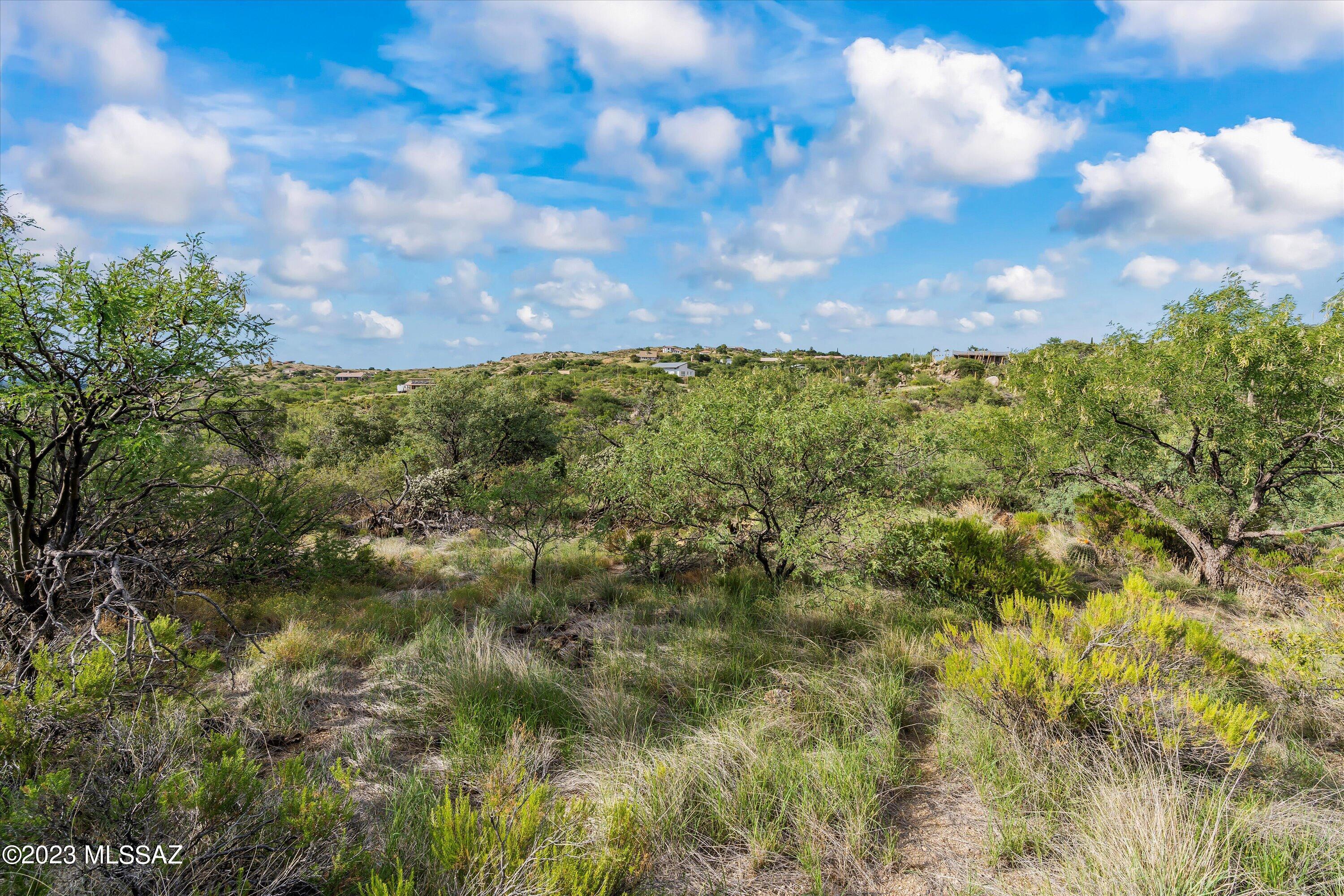 3.81 Acres Bachman Wash Road
