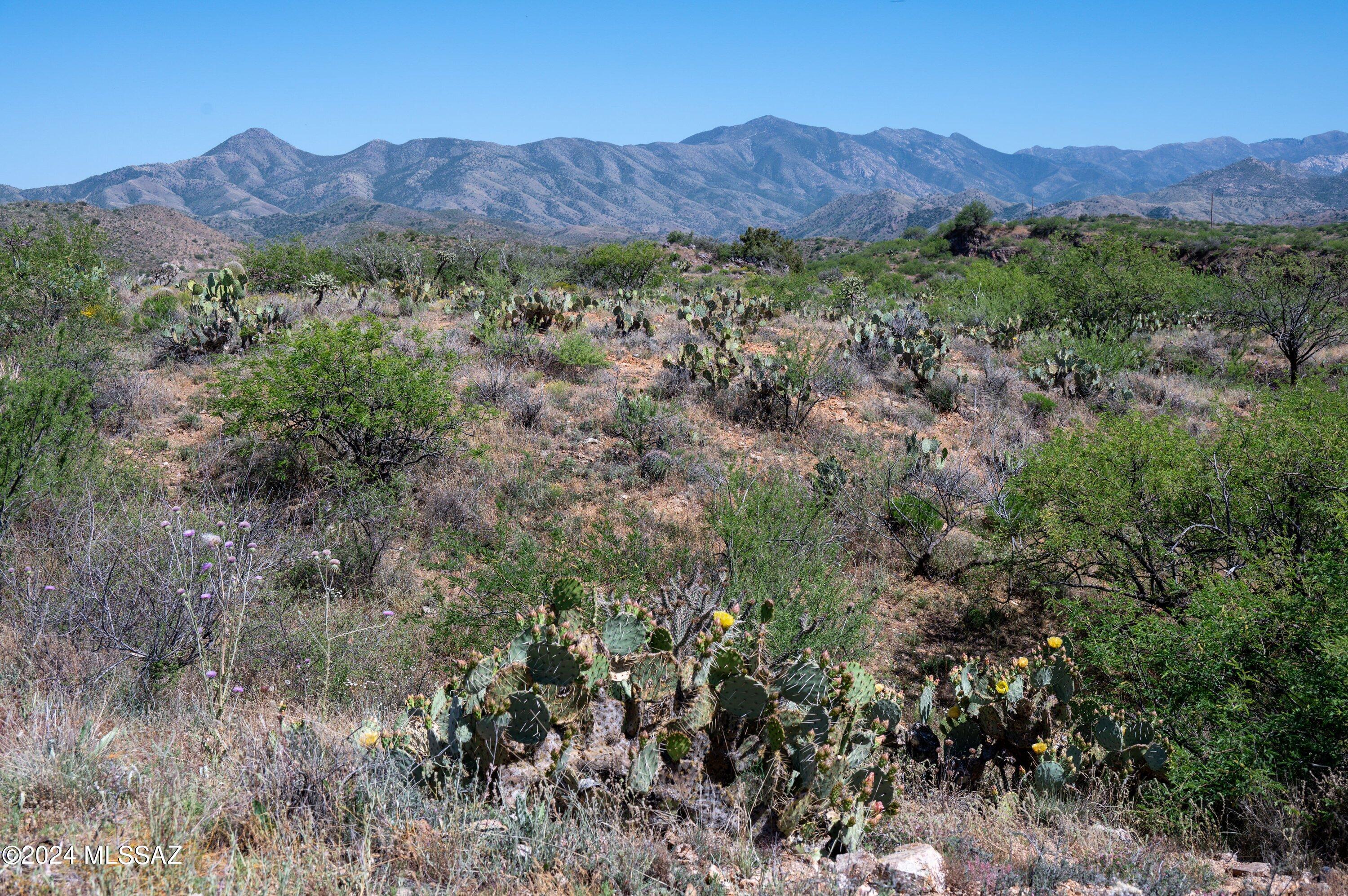 67919 E Madison Road Unit: 56