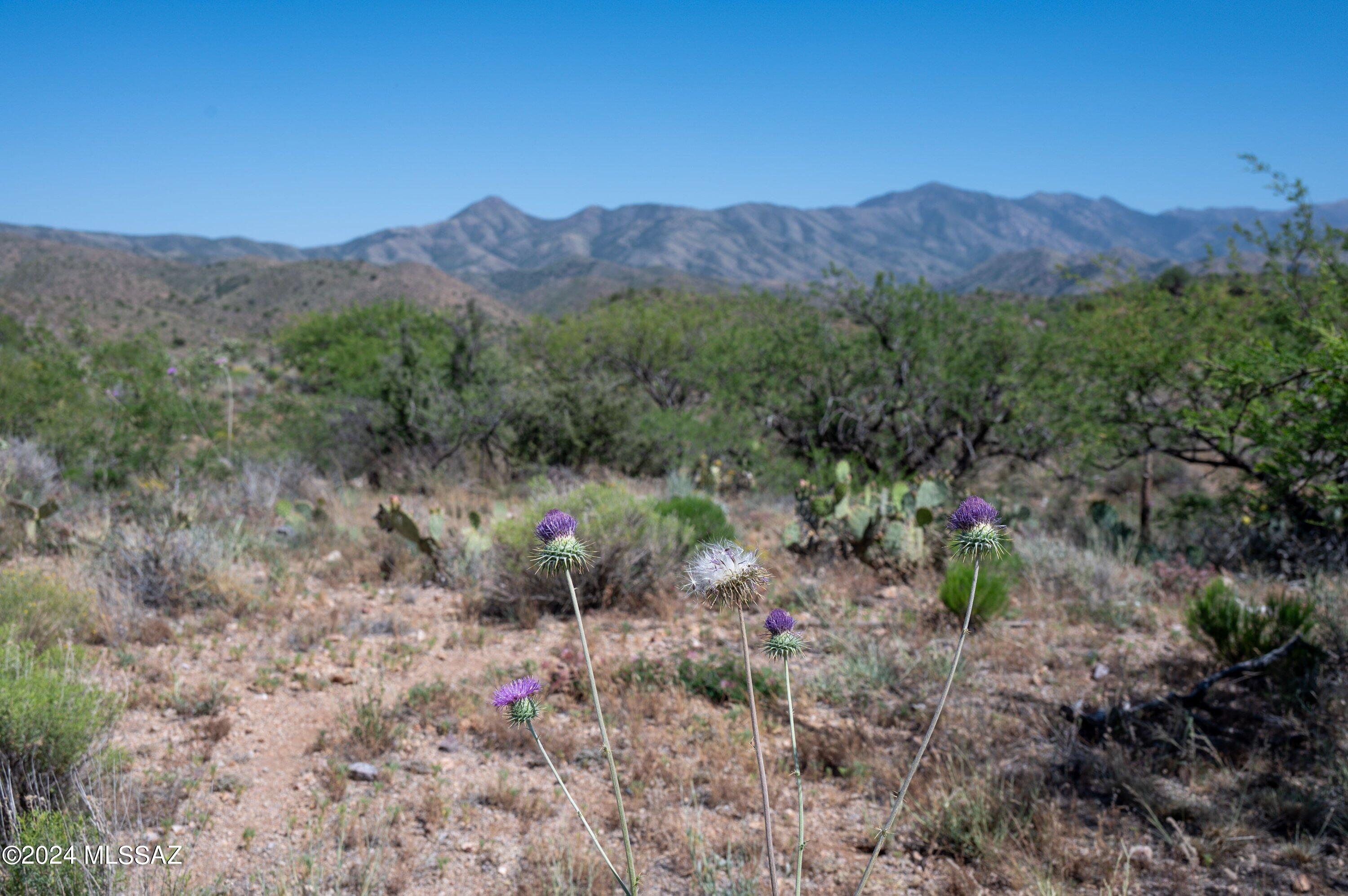 67919 E Madison Road Unit: 56