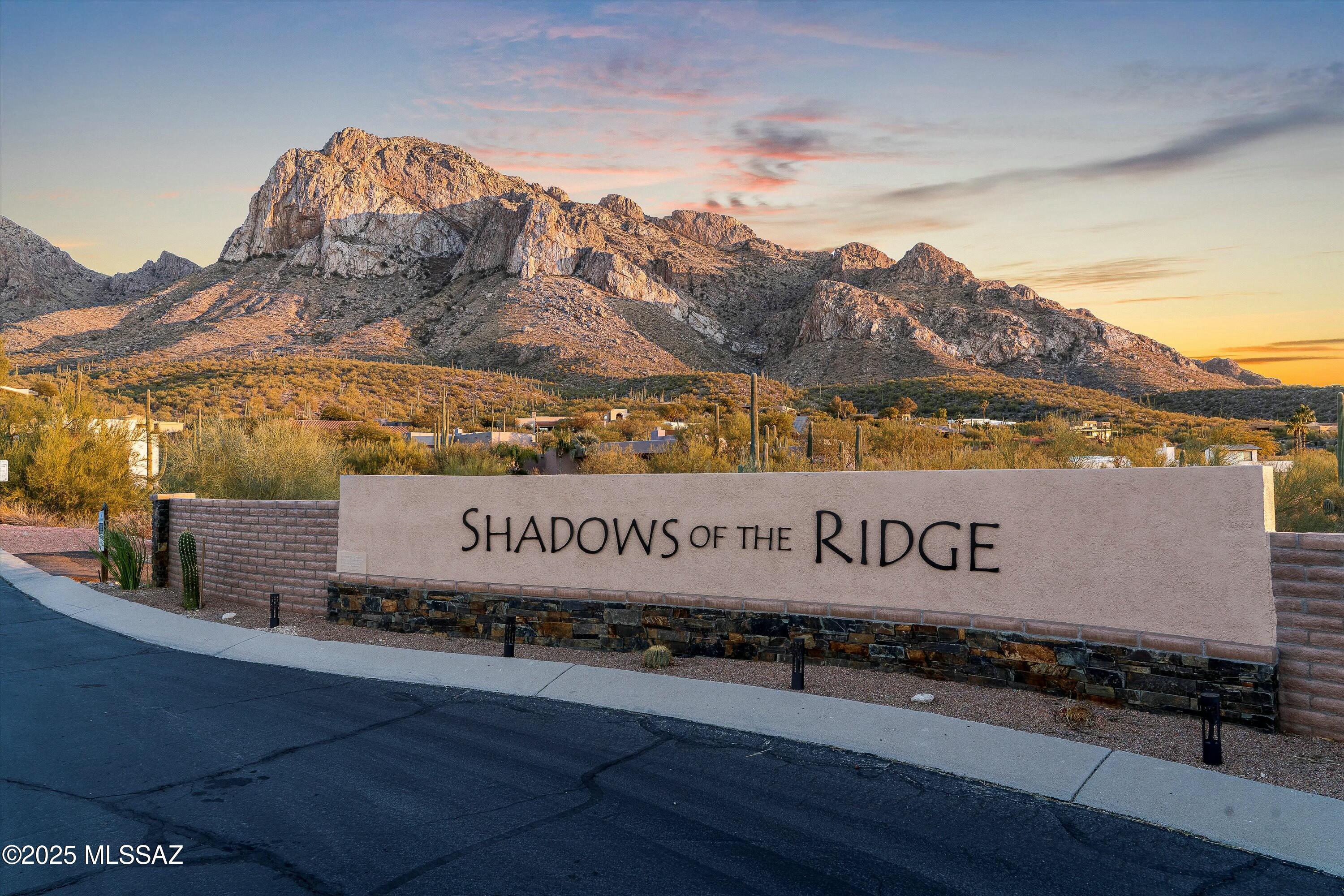 9868 N Ridge Shadow Place