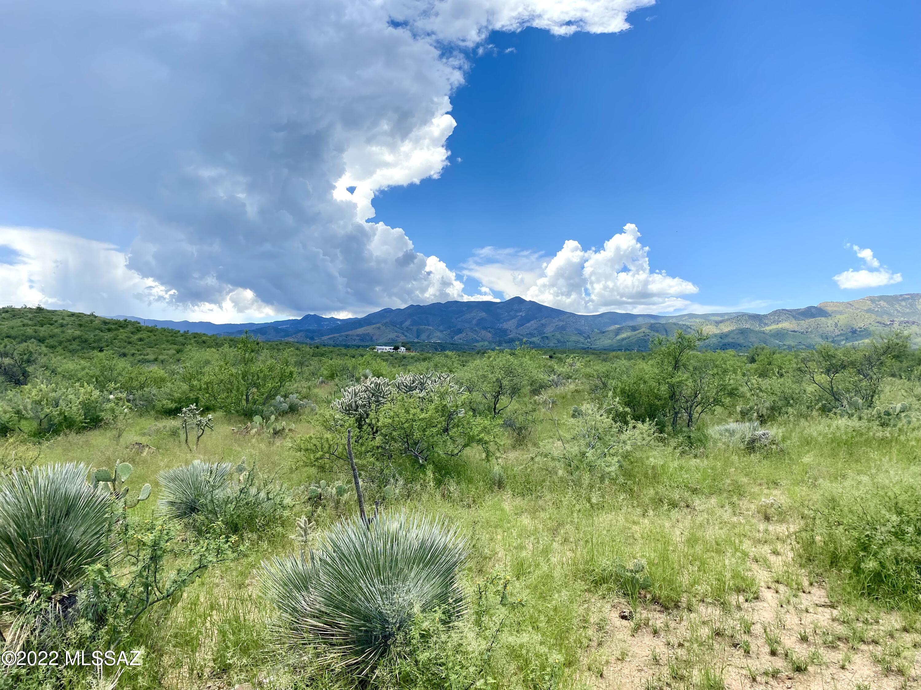 0 Goldbug East Road Unit: 5 ac.