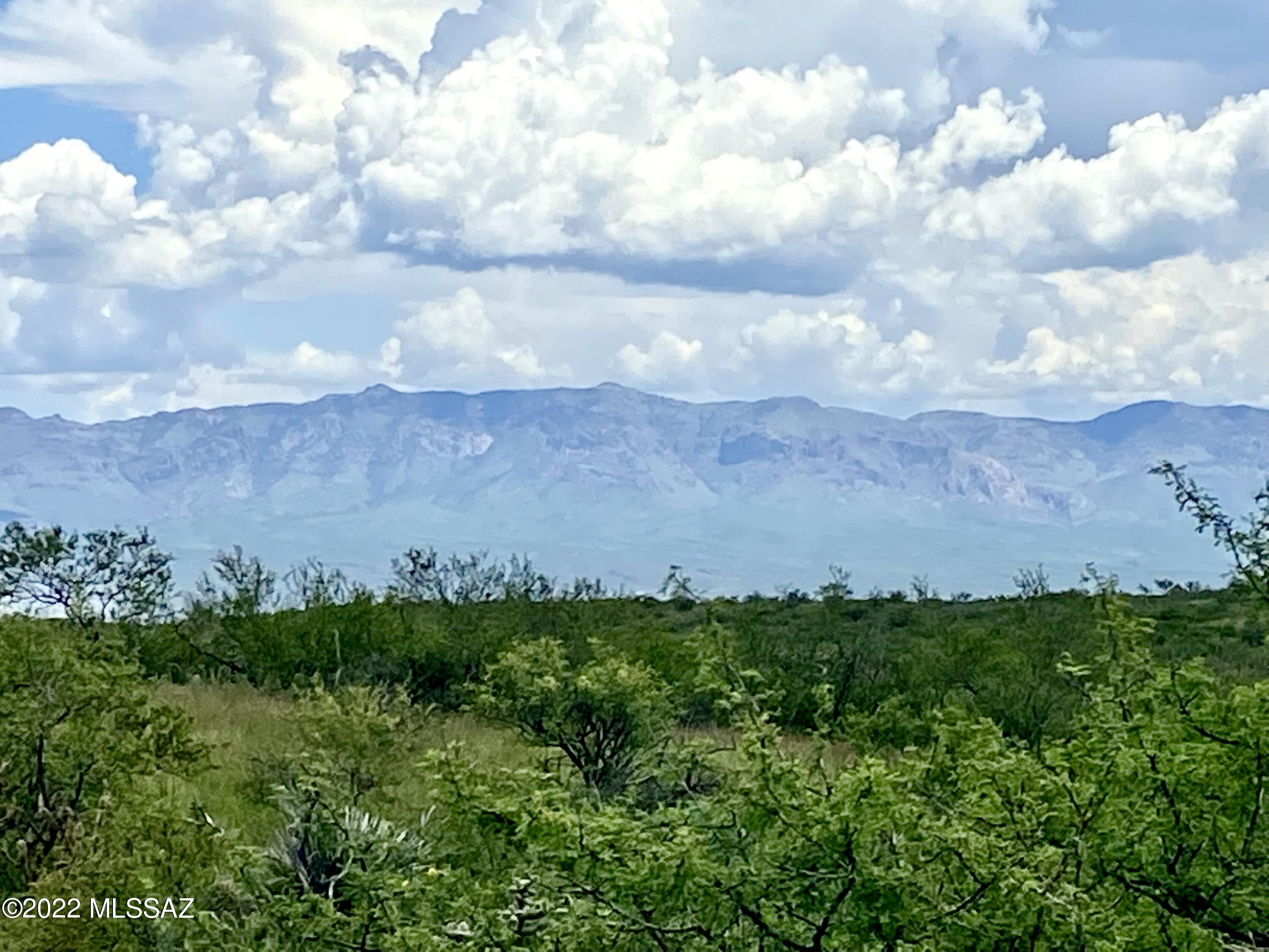 0 Goldbug East Road Unit: 5 ac.