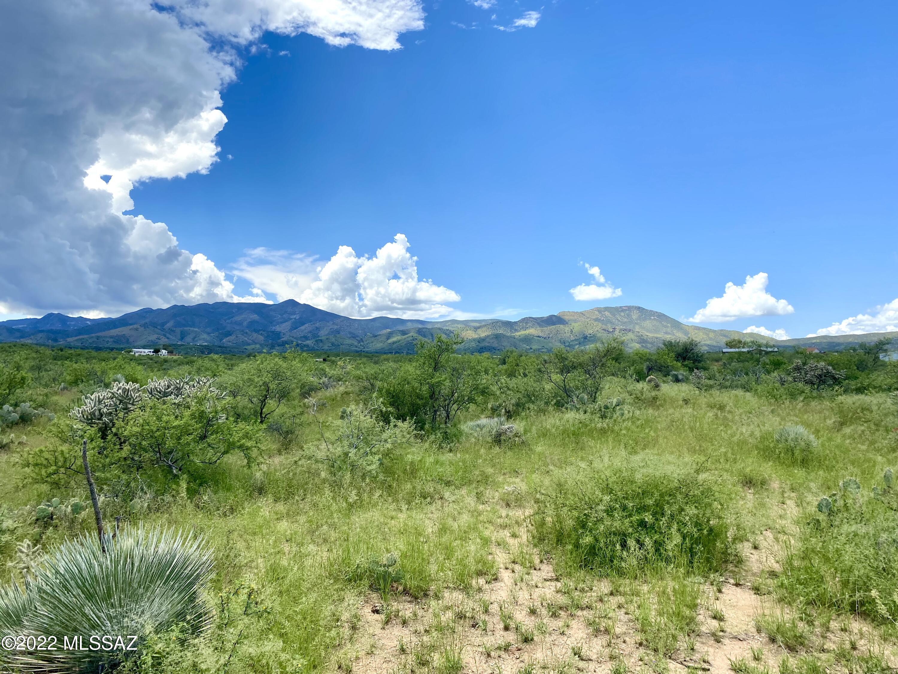 0 Goldbug East Road Unit: 5 ac.