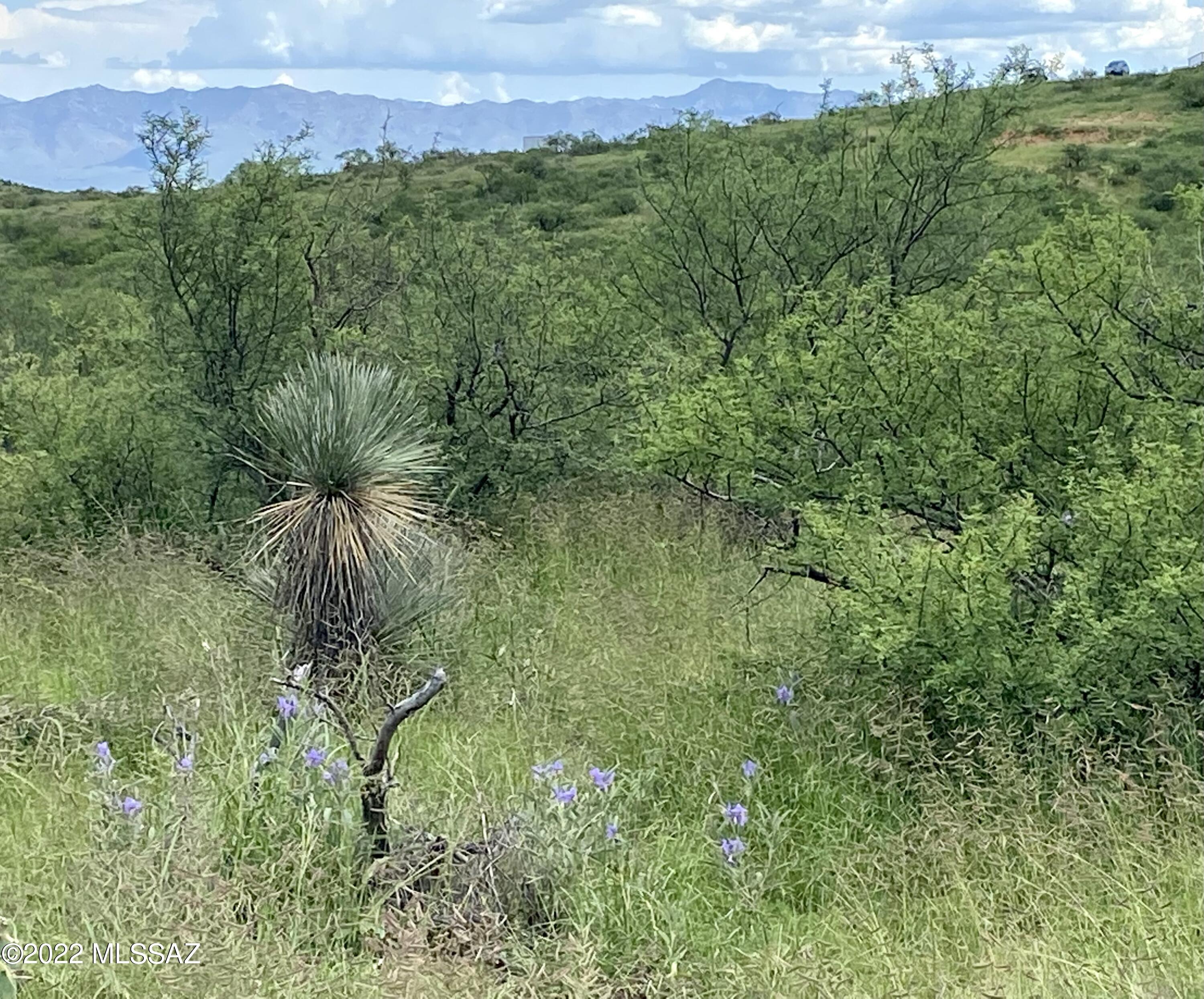 0 Goldbug East Road Unit: 5 ac.