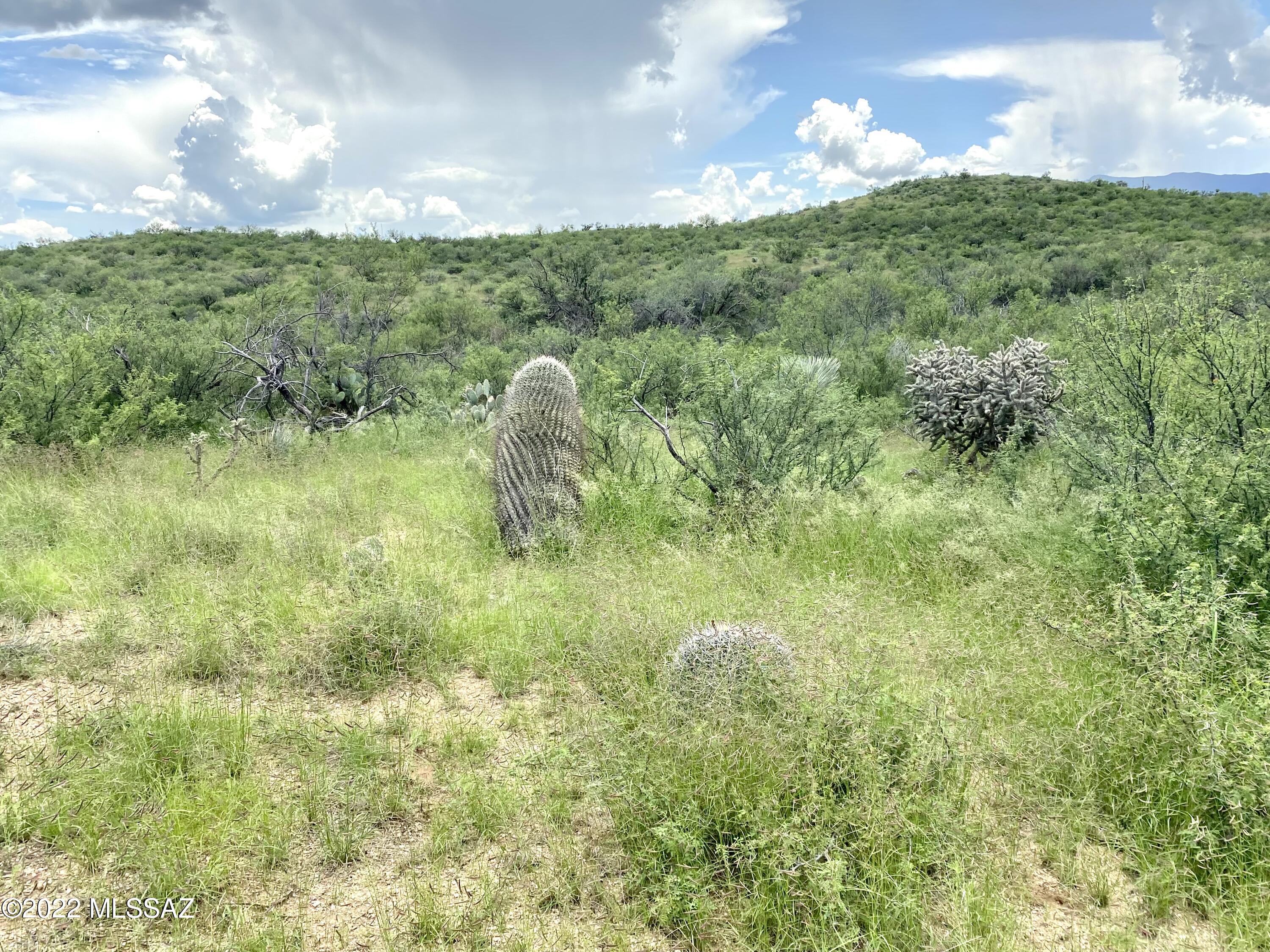 0 Goldbug East Road Unit: 5 ac.