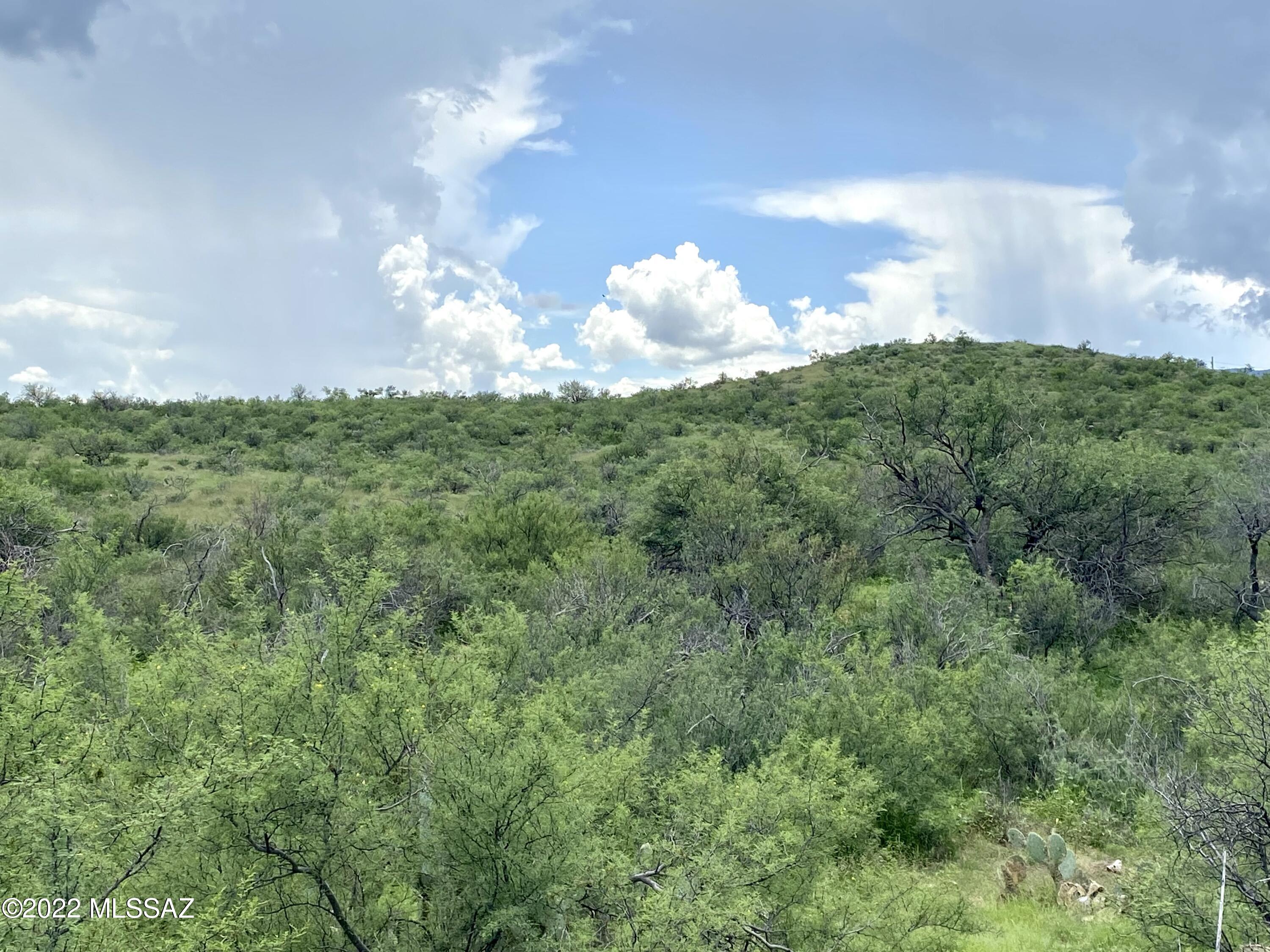 0 Goldbug East Road Unit: 5 ac.