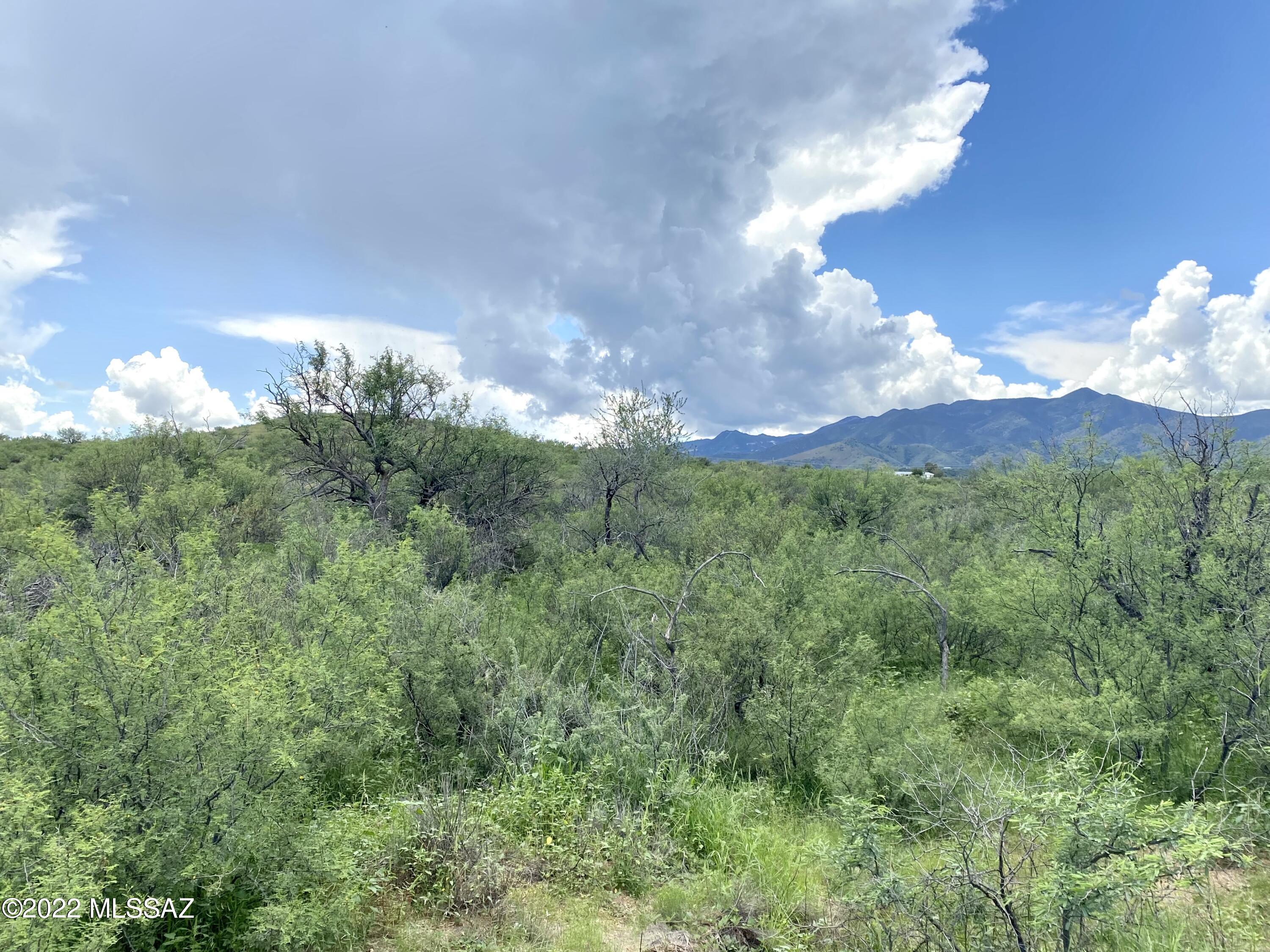 0 Goldbug East Road Unit: 5 ac.