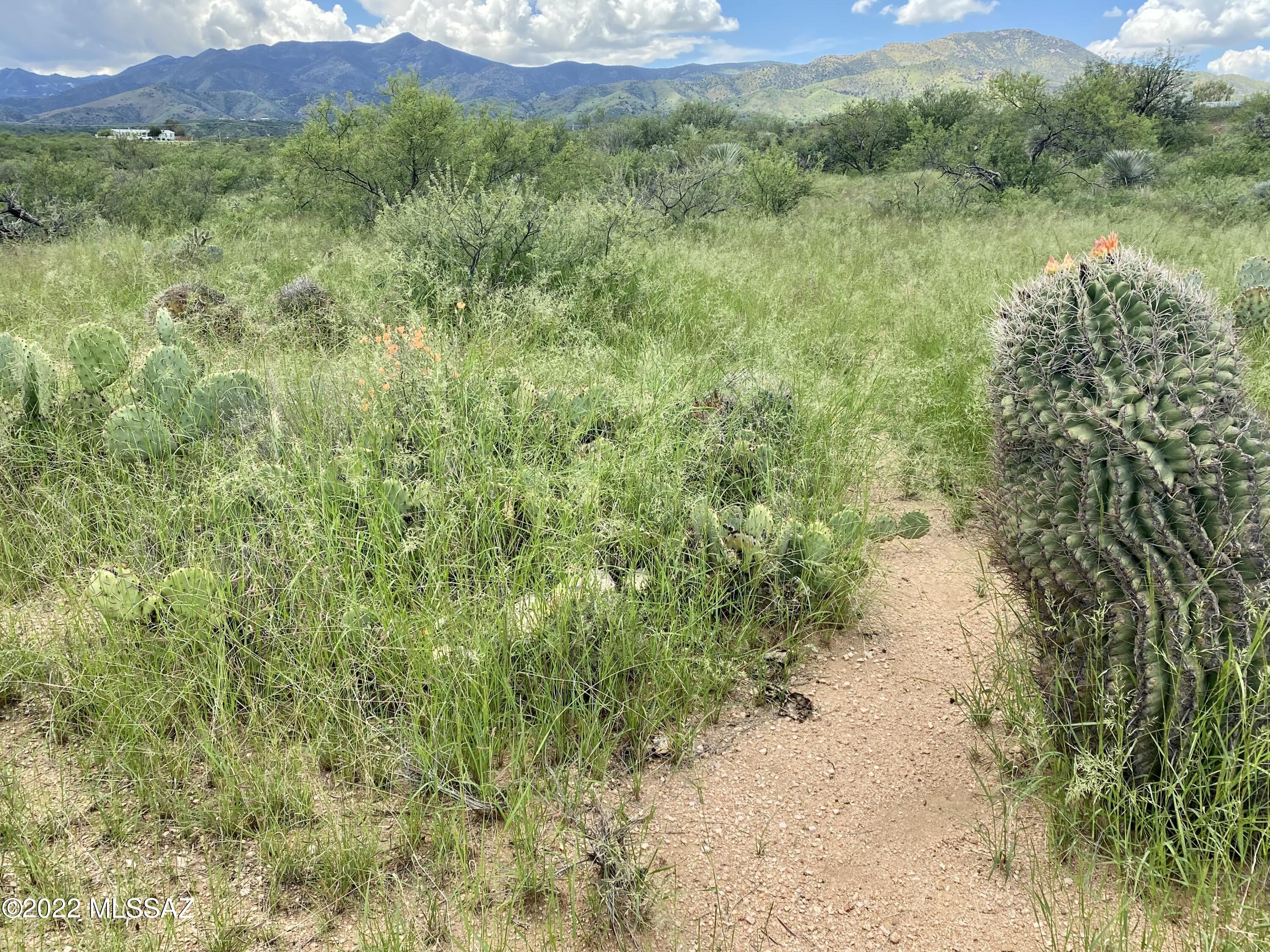 0 Goldbug East Road Unit: 5 ac.