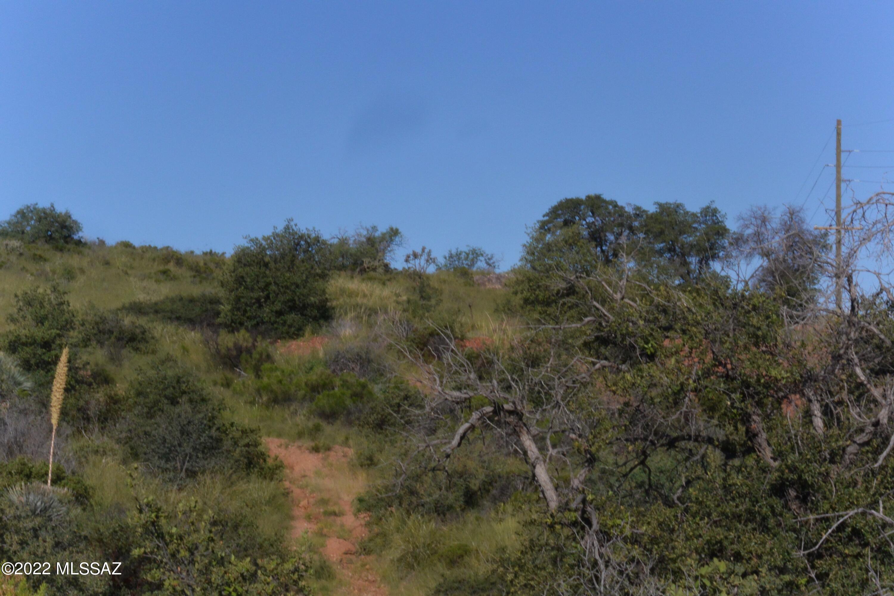 TBD N Callas Drive Unit: 20 Ac