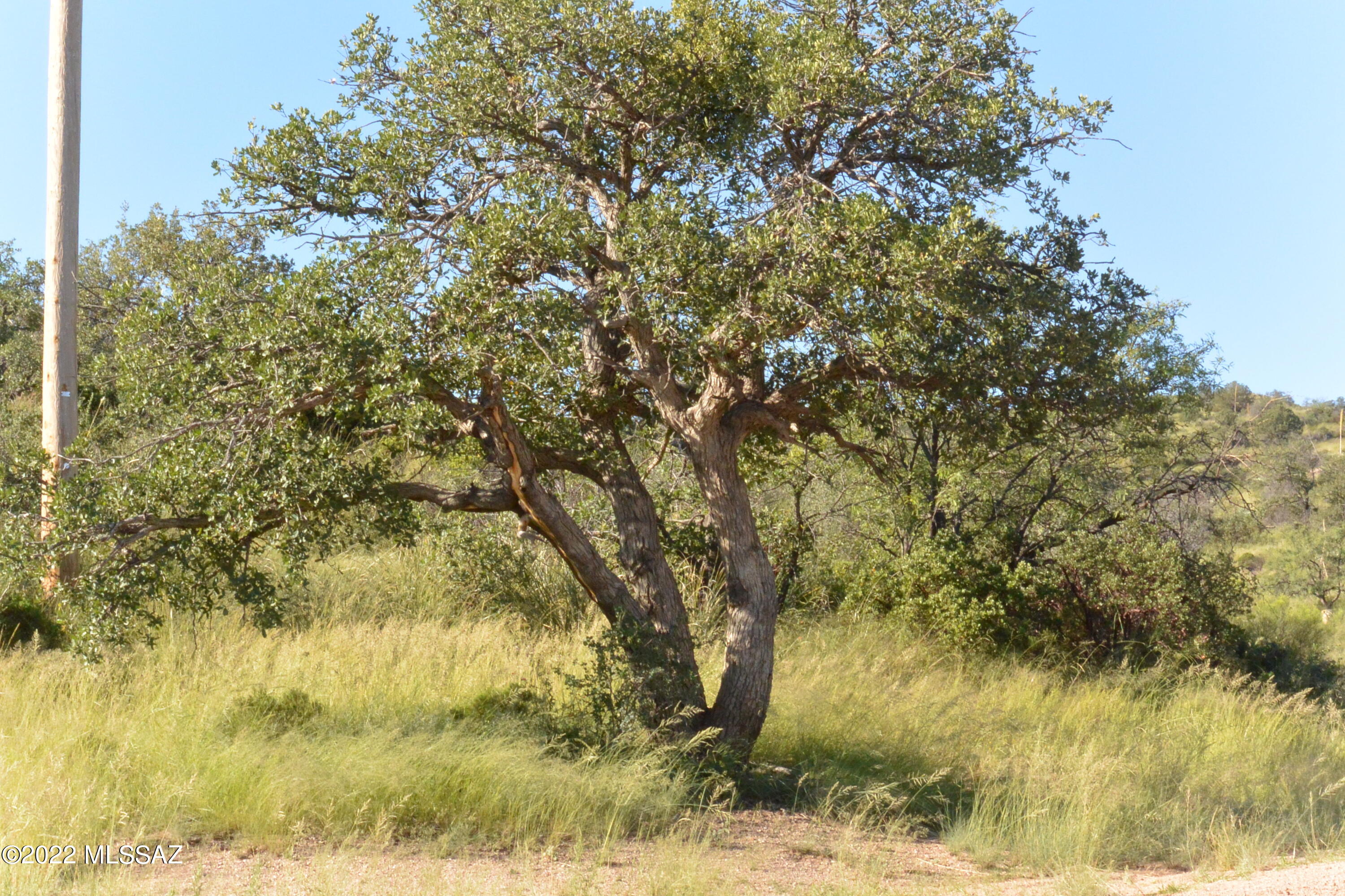 TBD N Callas Drive Unit: 20 Ac