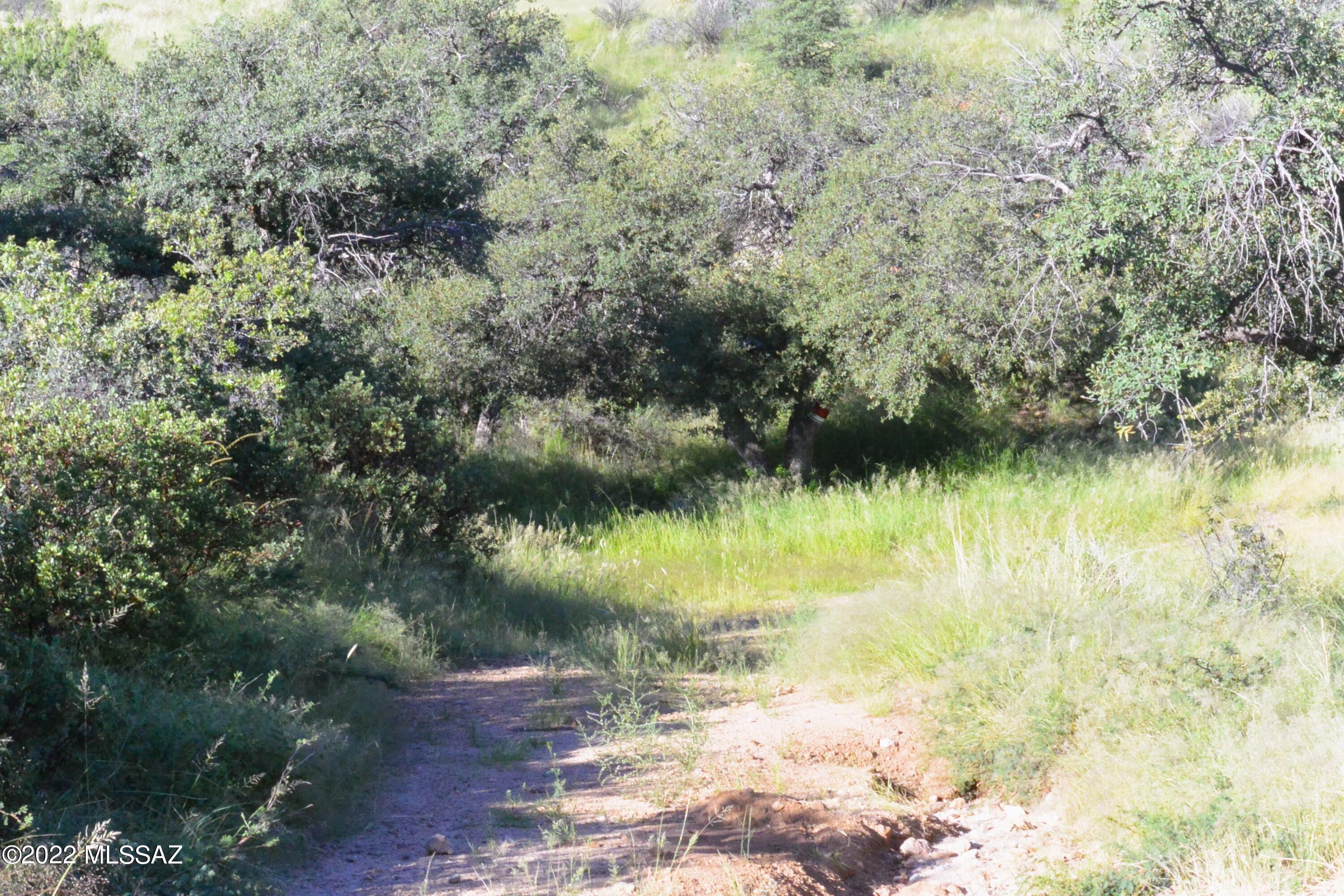 TBD N Callas Drive Unit: 20 Ac