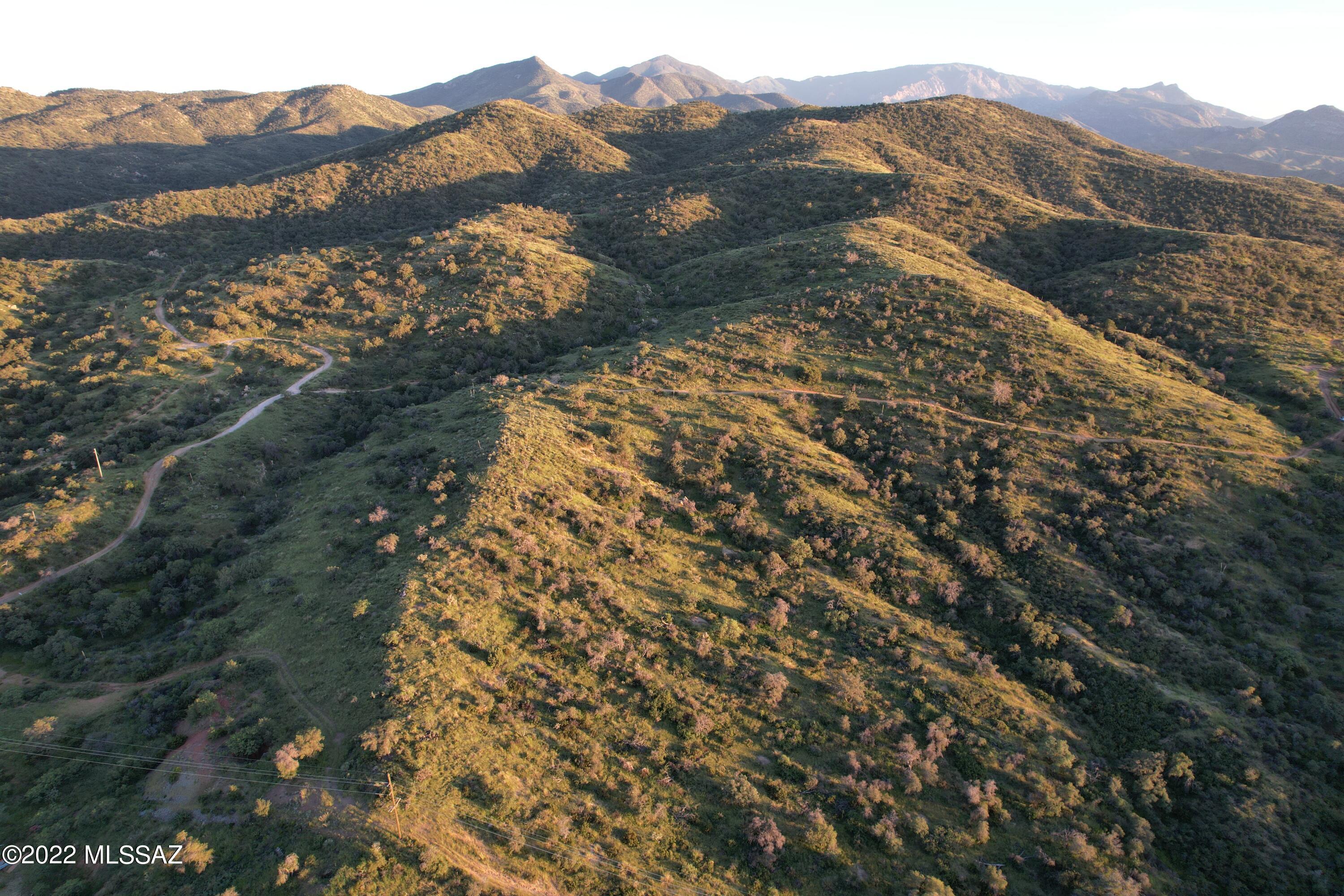 TBD N Callas Drive Unit: 20 Ac