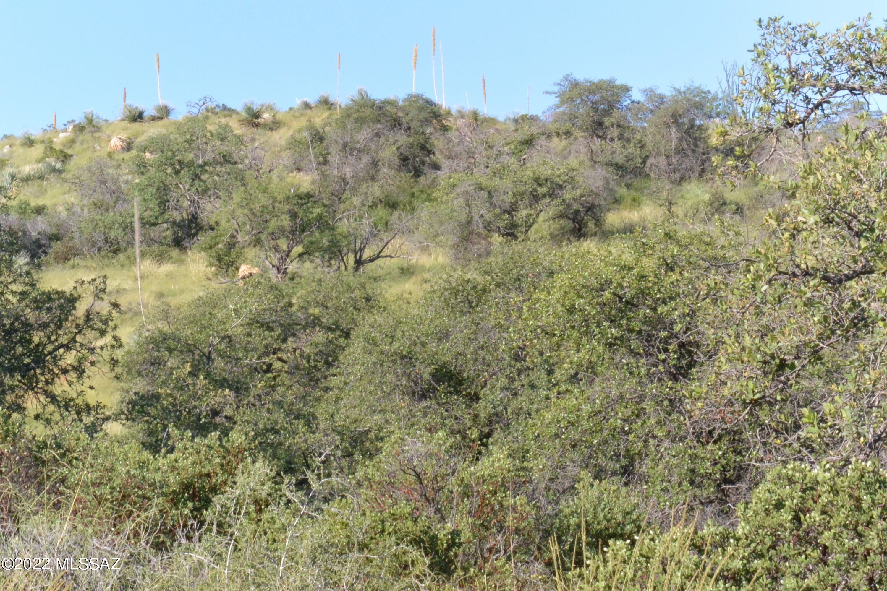 TBD N Callas Drive Unit: 20 Ac