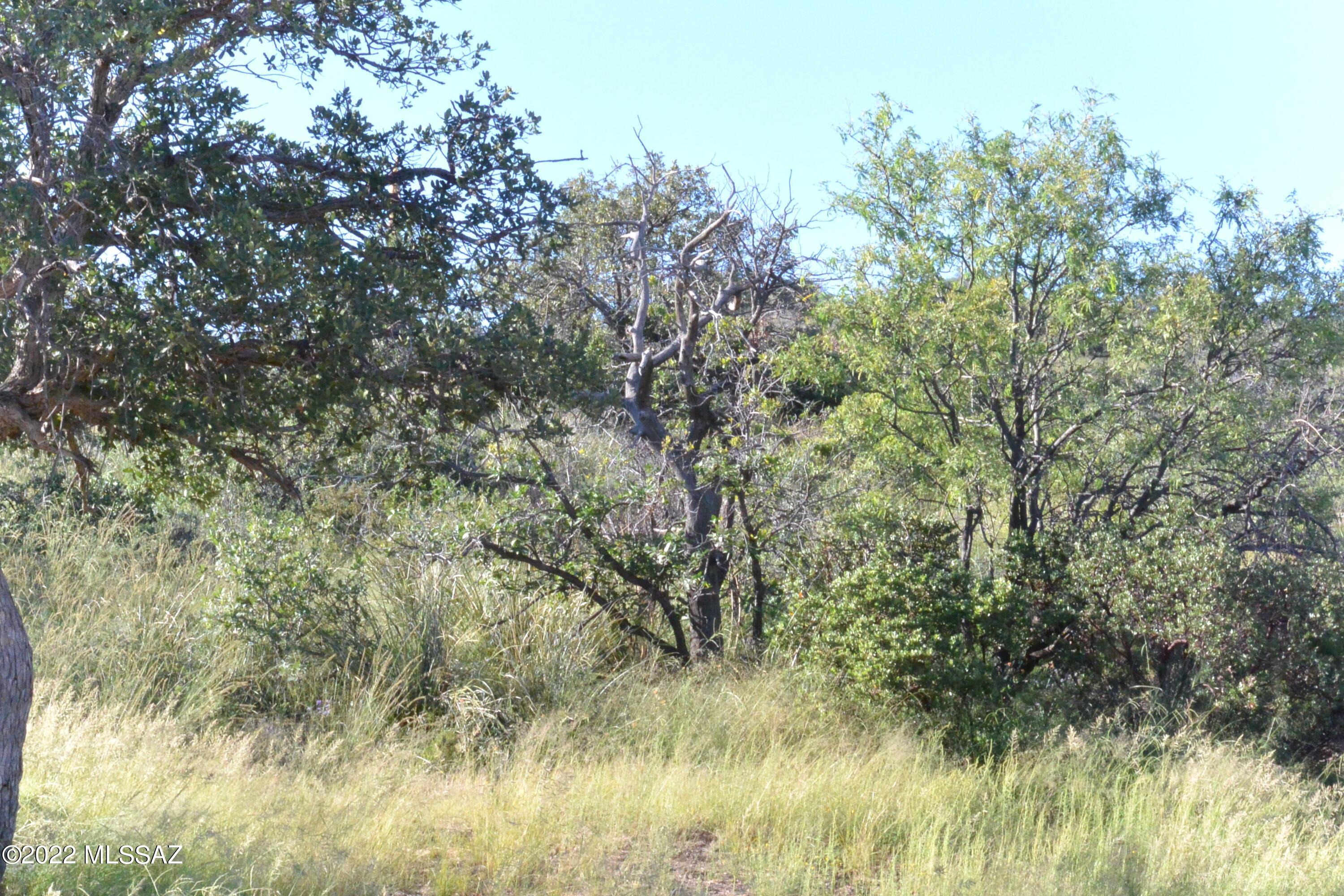 TBD N Callas Drive Unit: 20 Ac