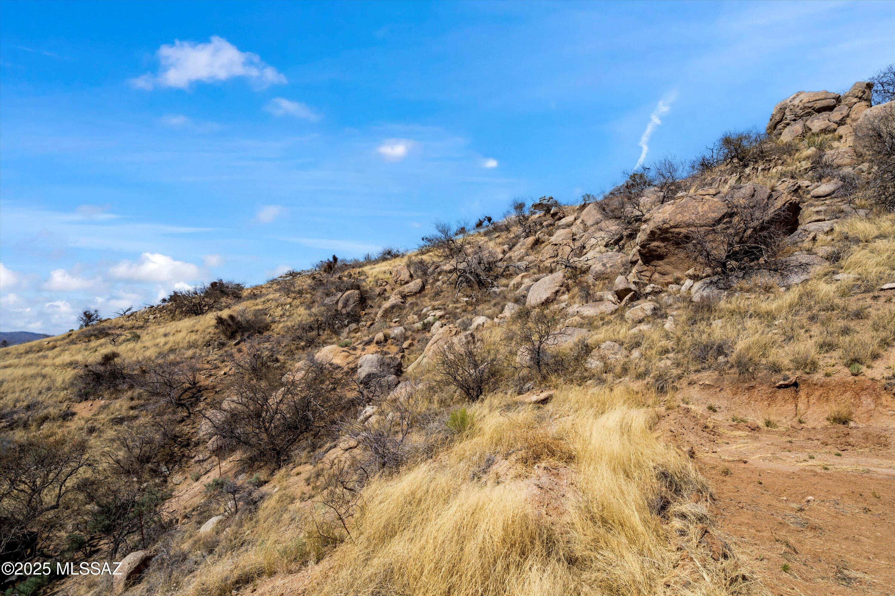 W La Mariposa Street