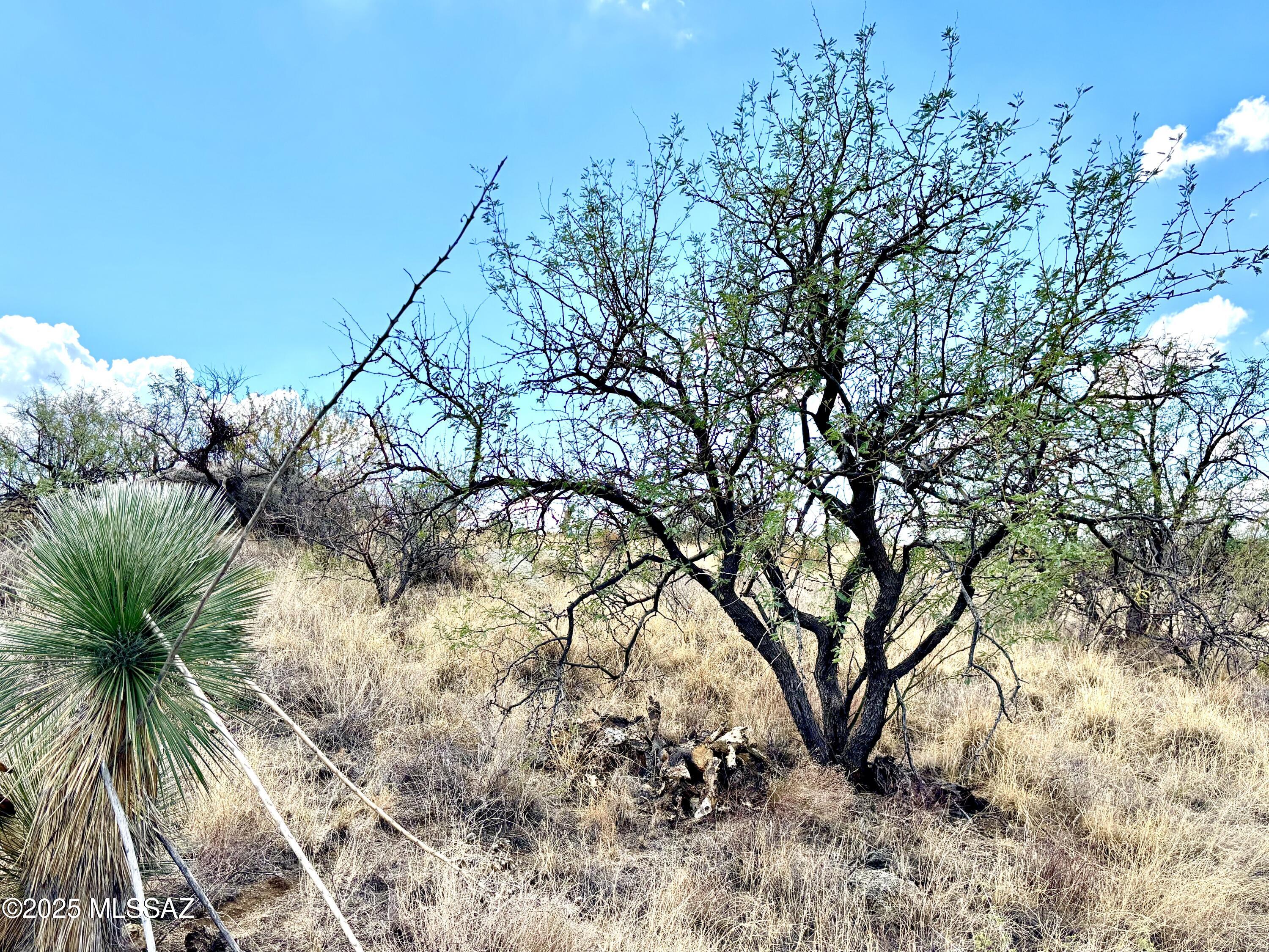 2.5 Acres W LINDA VISTA Road Unit: TBD