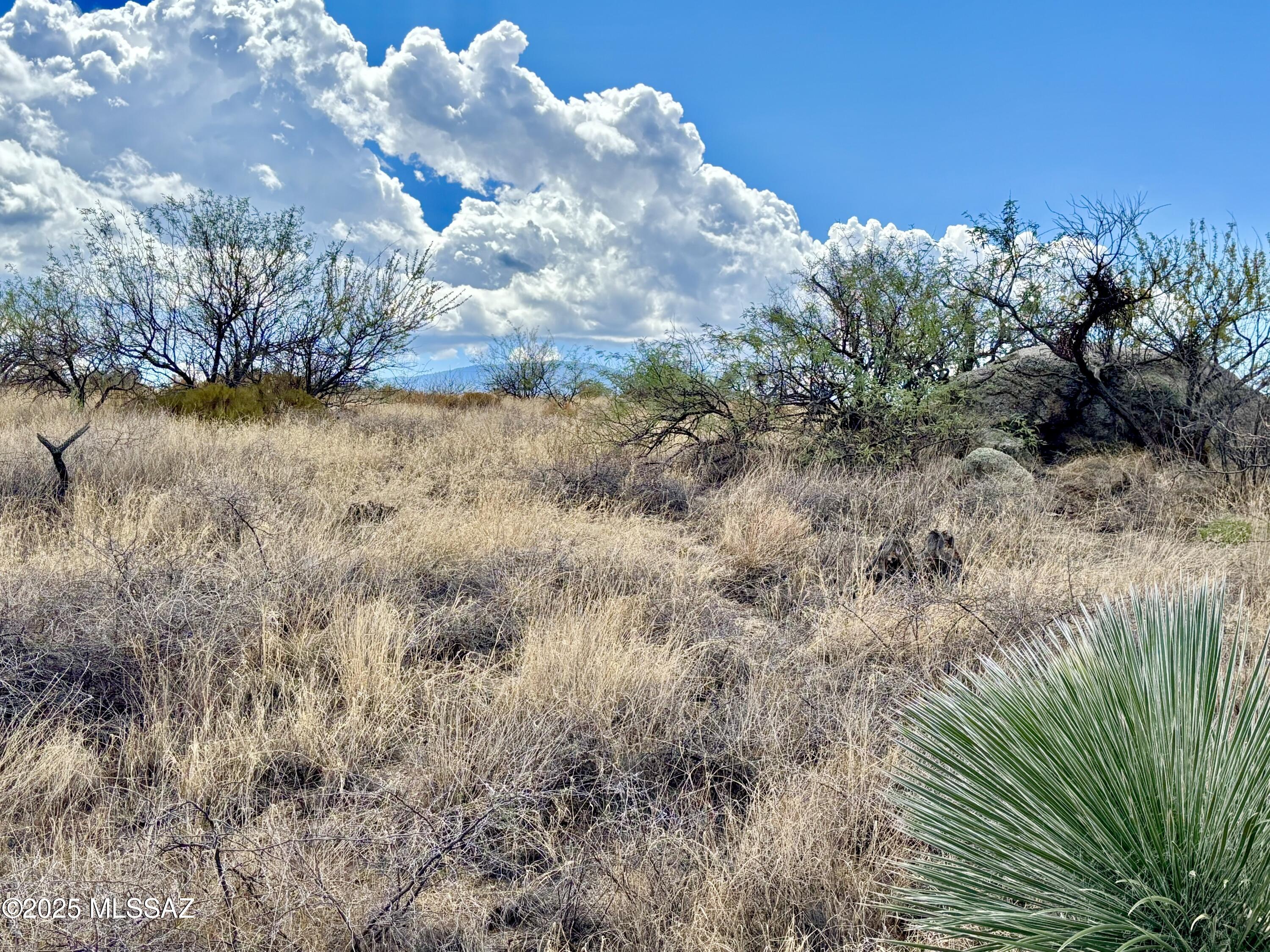 2.5 Acres W LINDA VISTA Road Unit: TBD