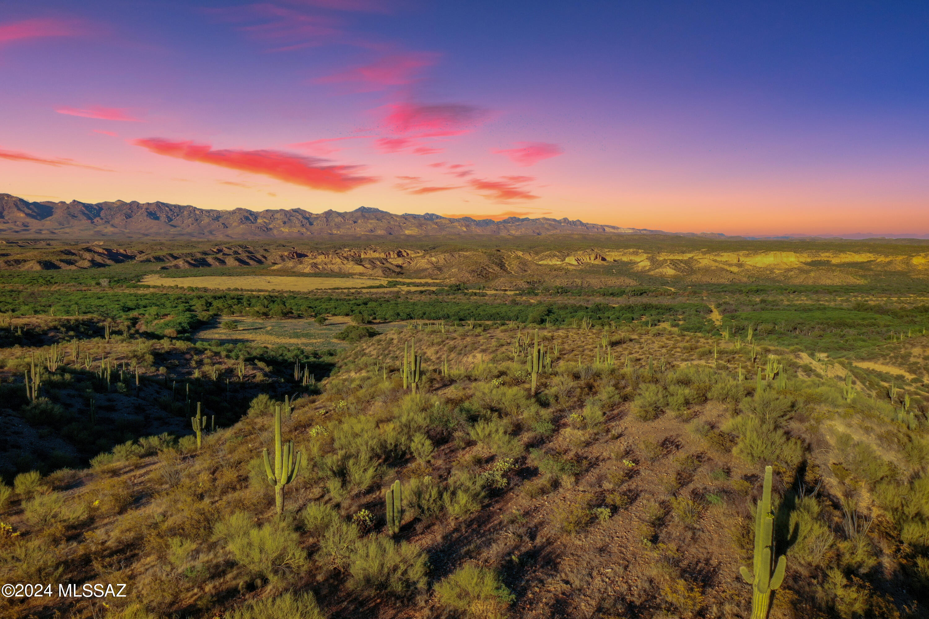 13725 N San Pedro River Road 1