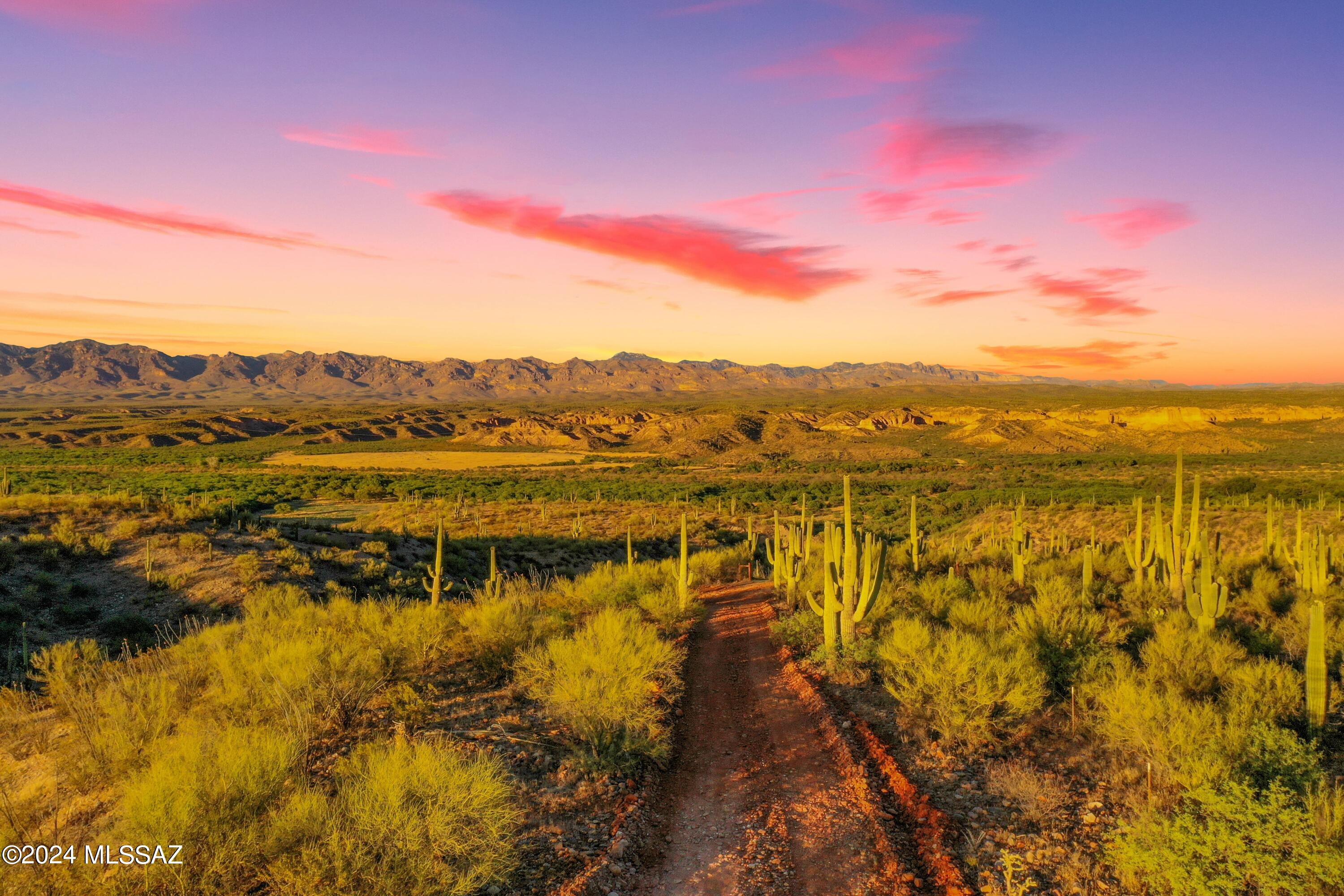 13725 N San Pedro River Road 1