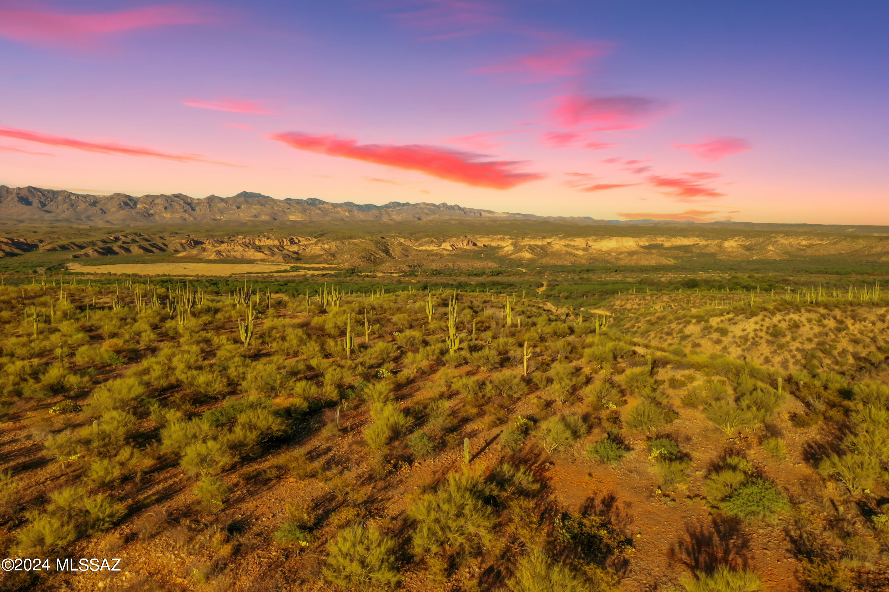 13725 N San Pedro River Road 2