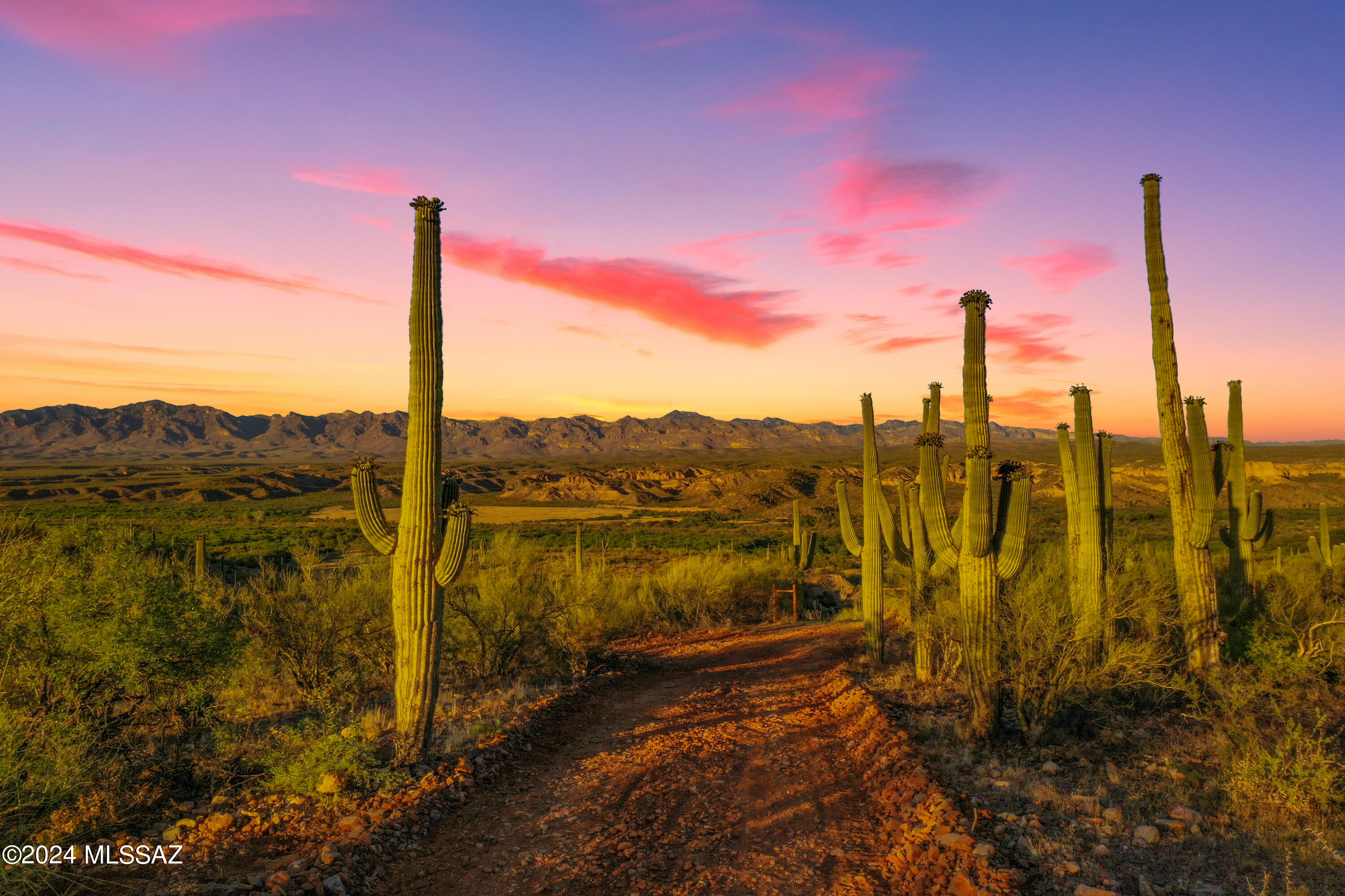 13725 N San Pedro River Road 3