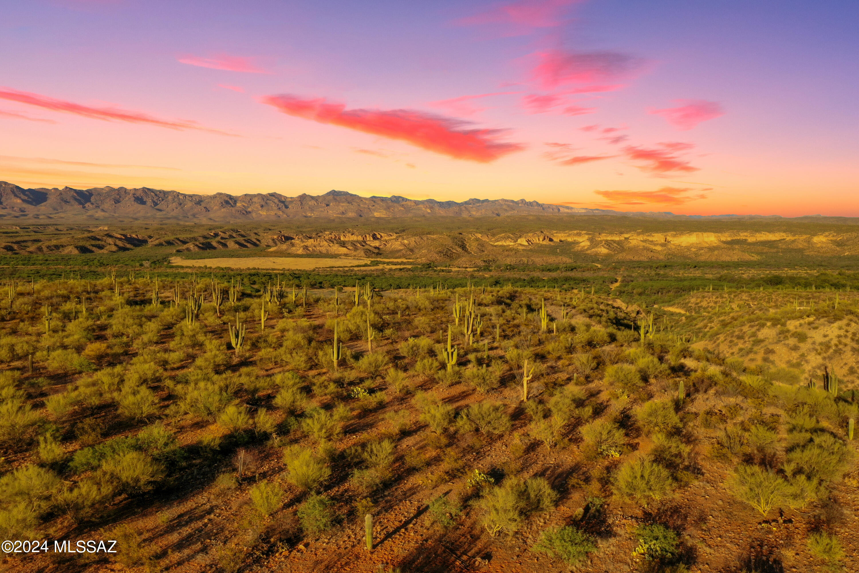 13725 N San Pedro River Road 3