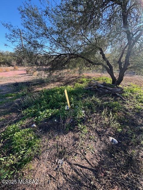 727 N Tiger Drive 14-15