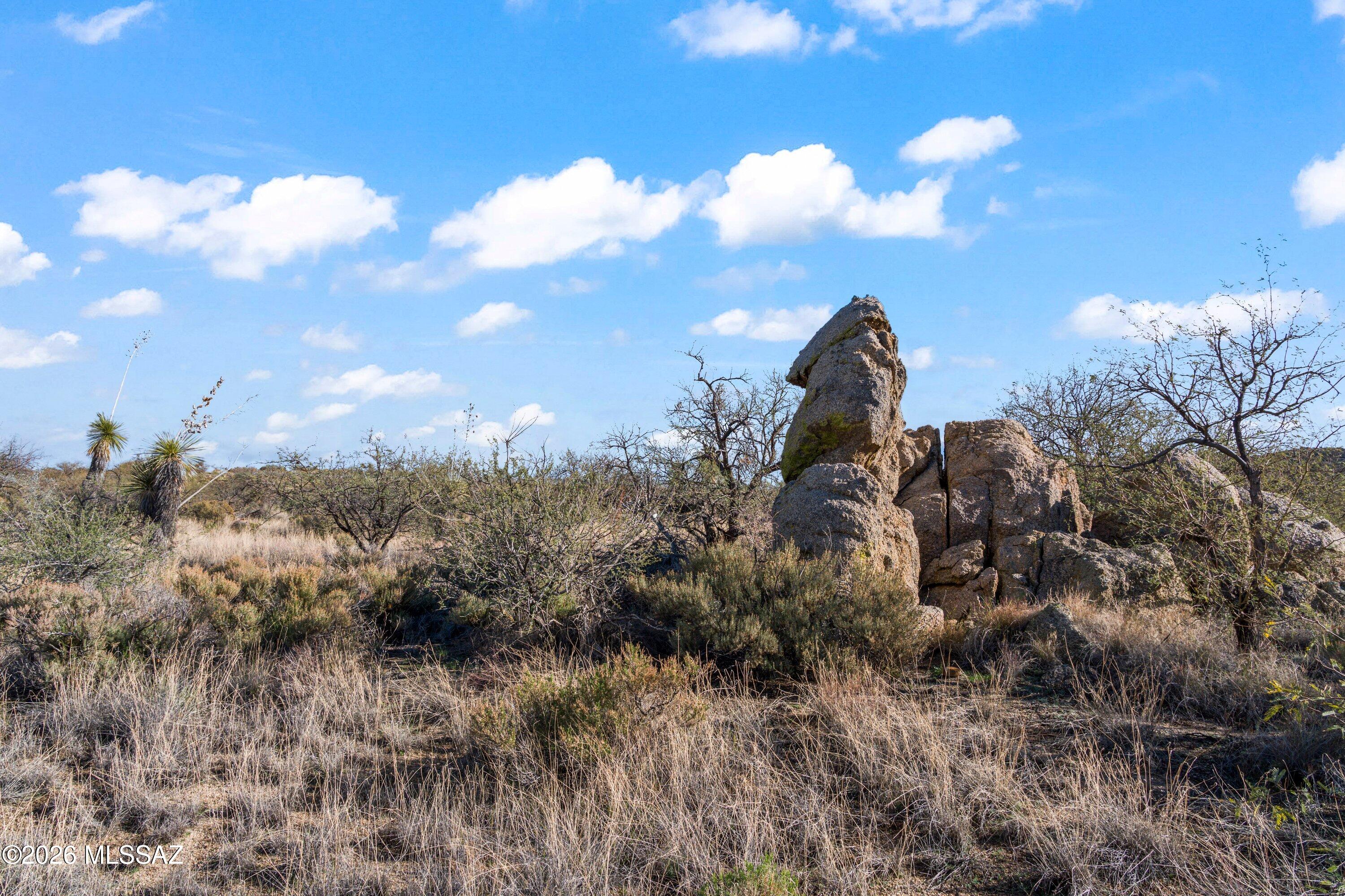 TBD N Chris Way 5.07 Ac