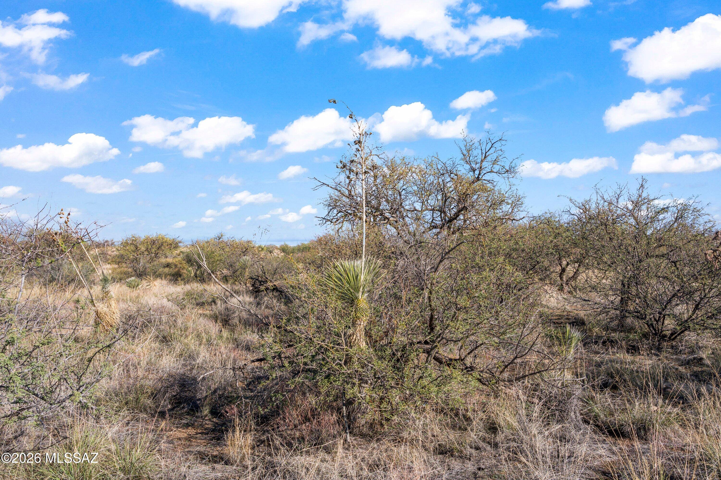 TBD N Chris Way 5.07 Ac