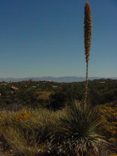 0 4.5 ac. off Oak Hills