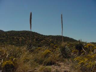 0 4.5 ac. off Oak Hills