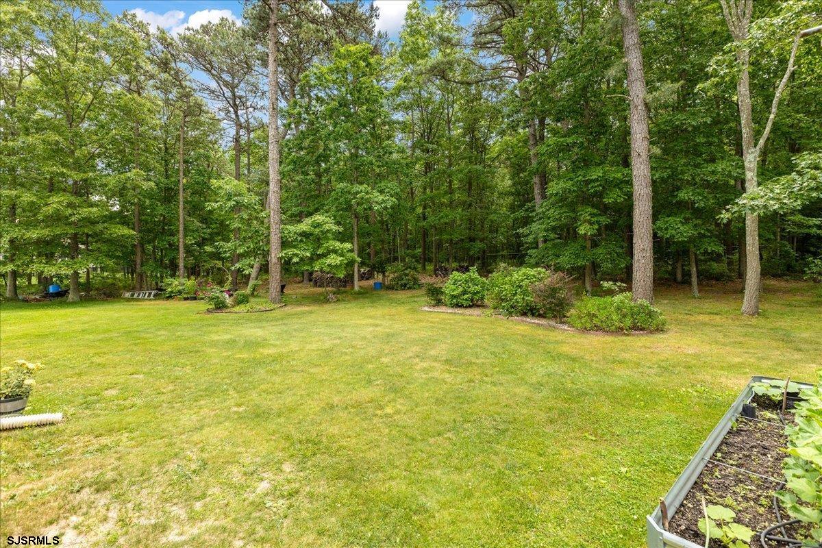 712 Jersey Woods