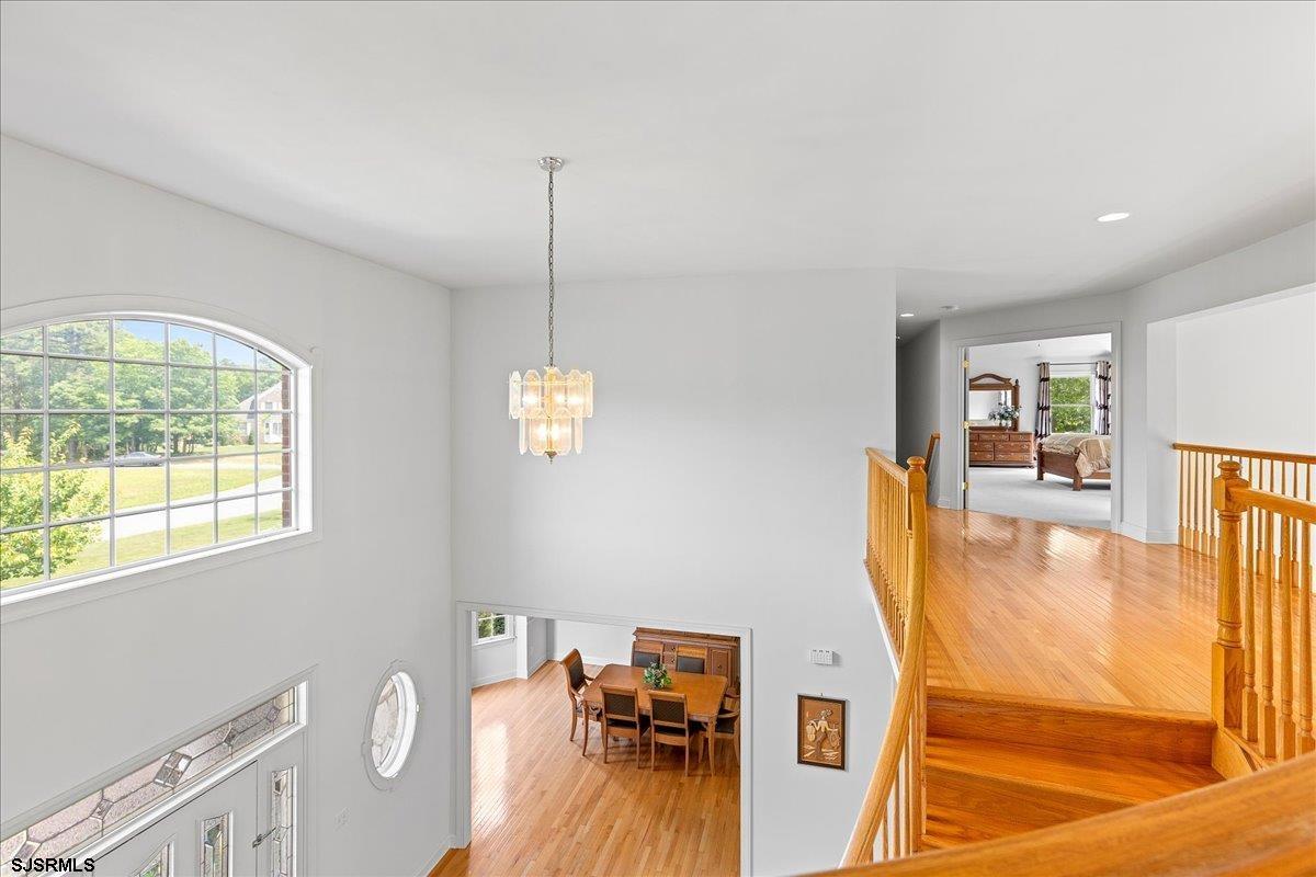 712 Jersey Woods