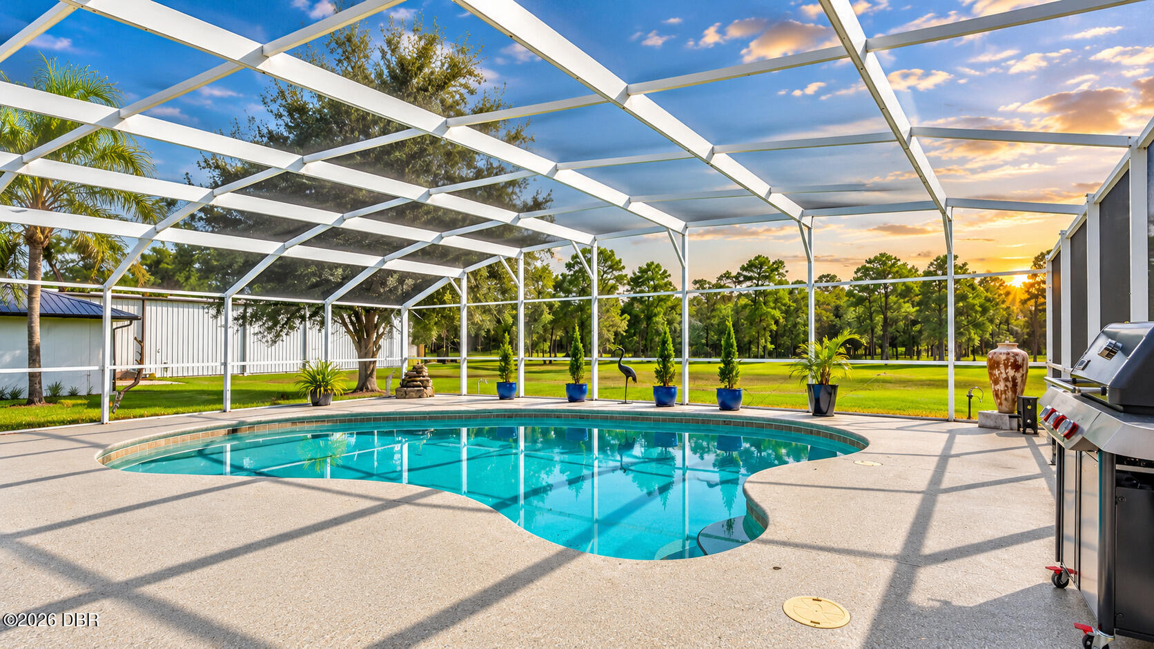 Swimming pool in a screened enclosure, with a barbecue grill and tree-lined lawn at sunset.